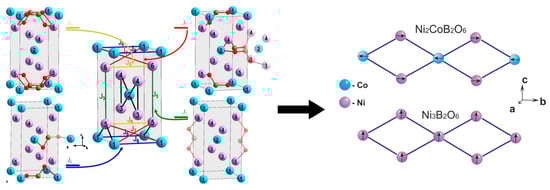 (a) The crystal structure of the kotoite. Transition metal ions 1 and 2 occupy position 2a (blue circle), while ions 3–6 occupy position 4f (pink circle). (b) The ribbons formed by magnetic ions. (c) The magnetic structure of Ni3(BO3)2. The “+” and “–“ signs show the direction of magnetic moment of ions along c axis. The magnetic moments of ions in the ribbon are ferromagnetic.