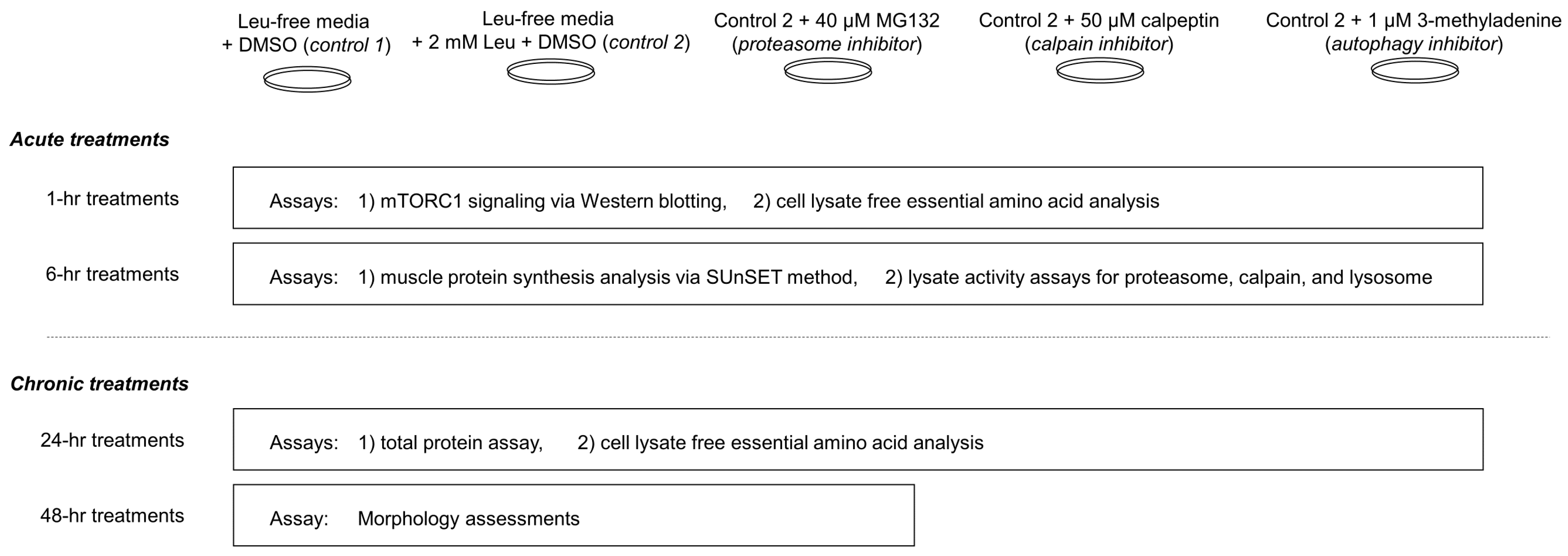 Physiologia 01 00005 g001