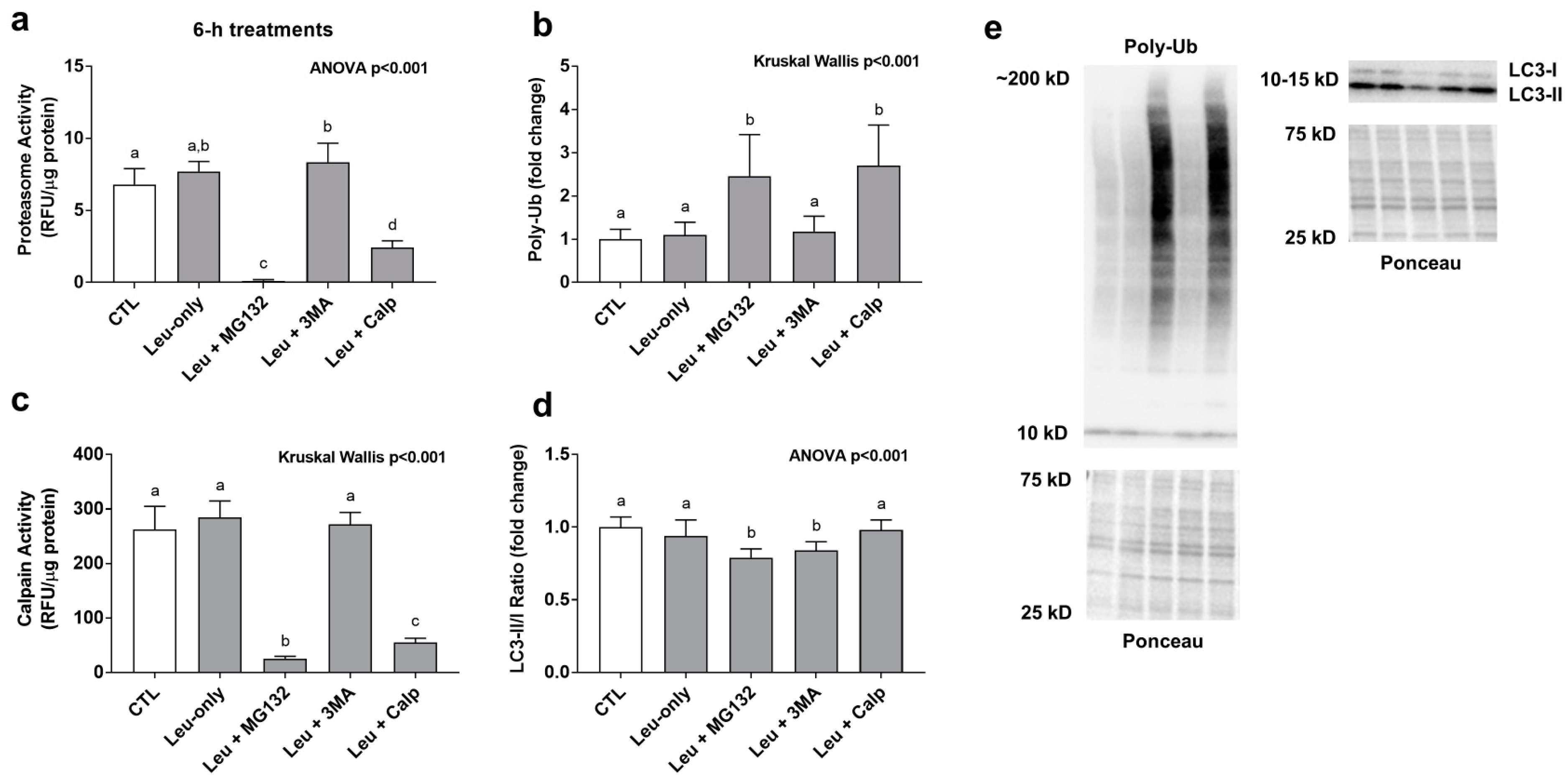 Physiologia 01 00005 g003