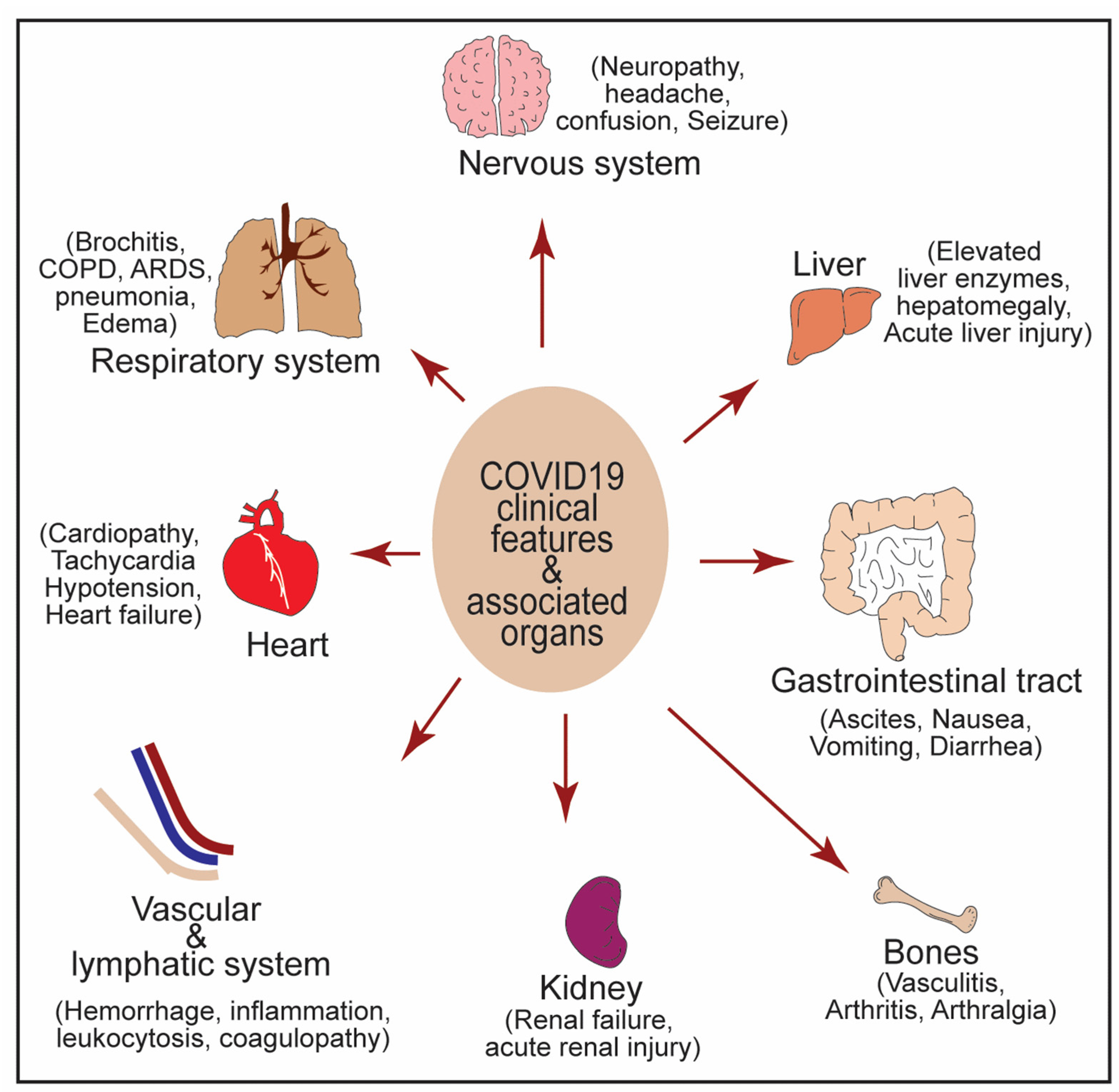 Physiologia 02 00004 g004