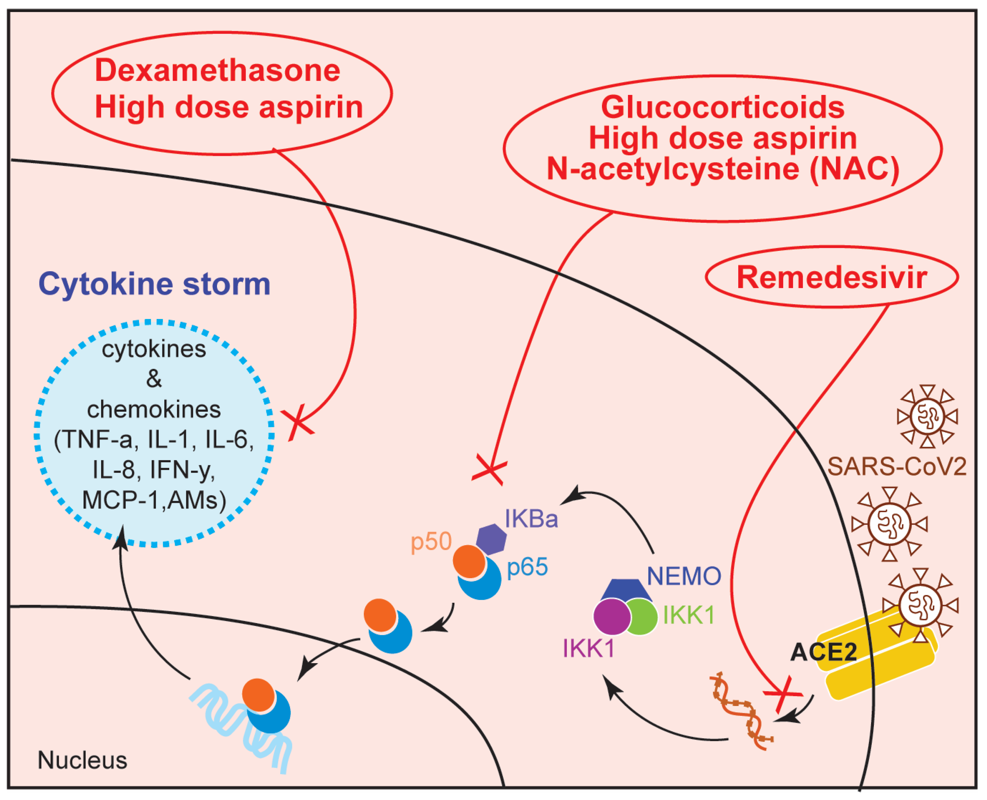 Physiologia 02 00004 g005