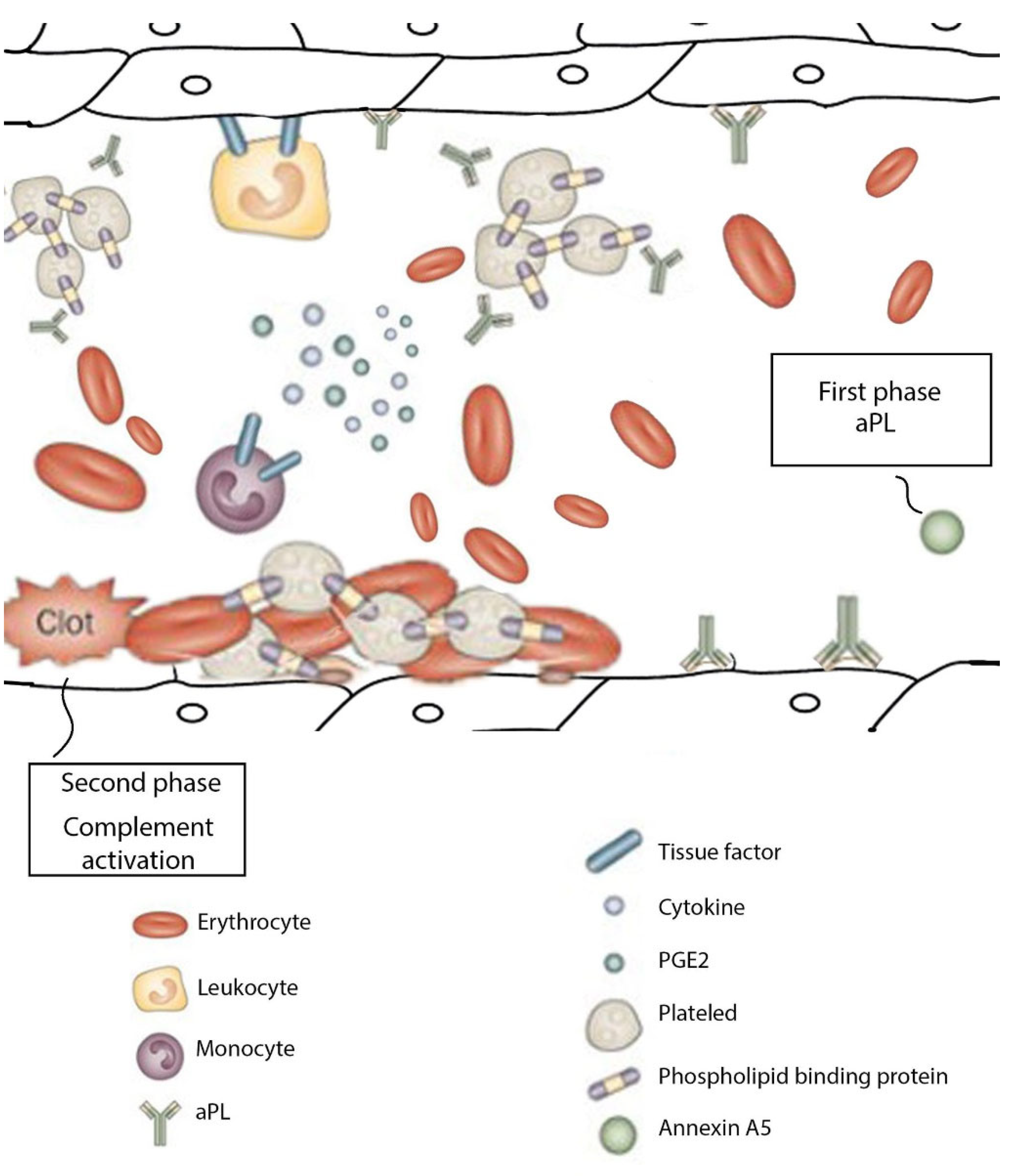 Physiologia 02 00007 g001