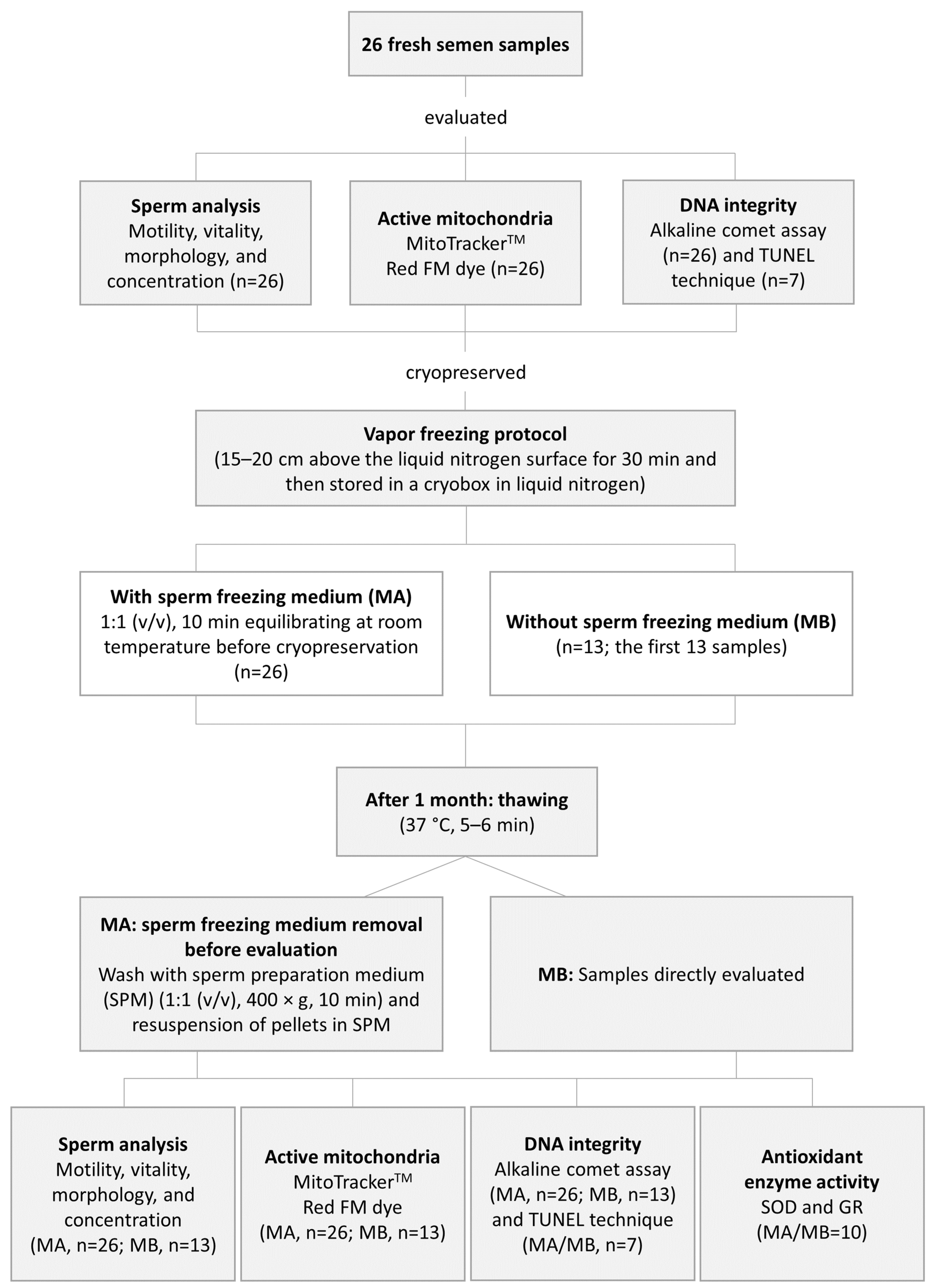 Physiologia 02 00008 g001