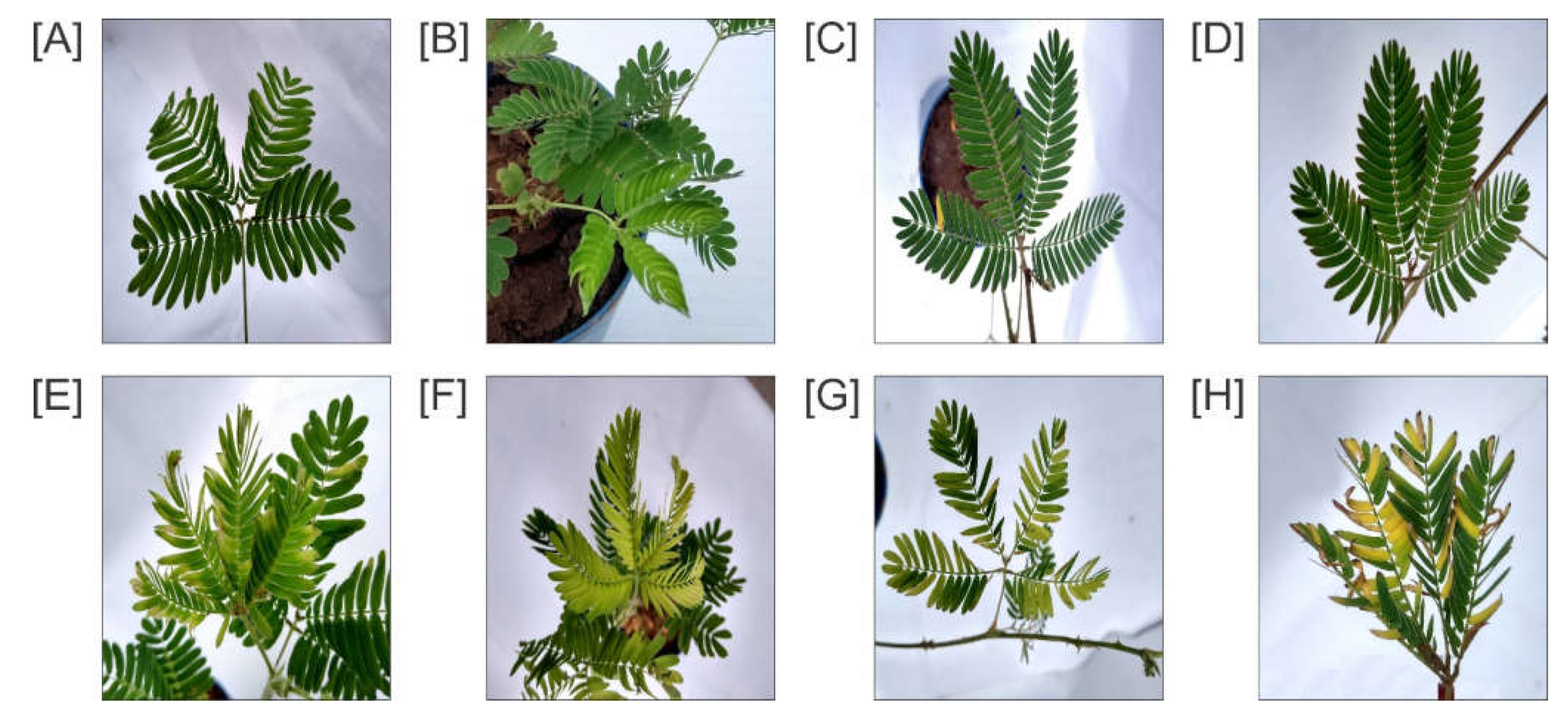 Physiologia 02 00012 g002