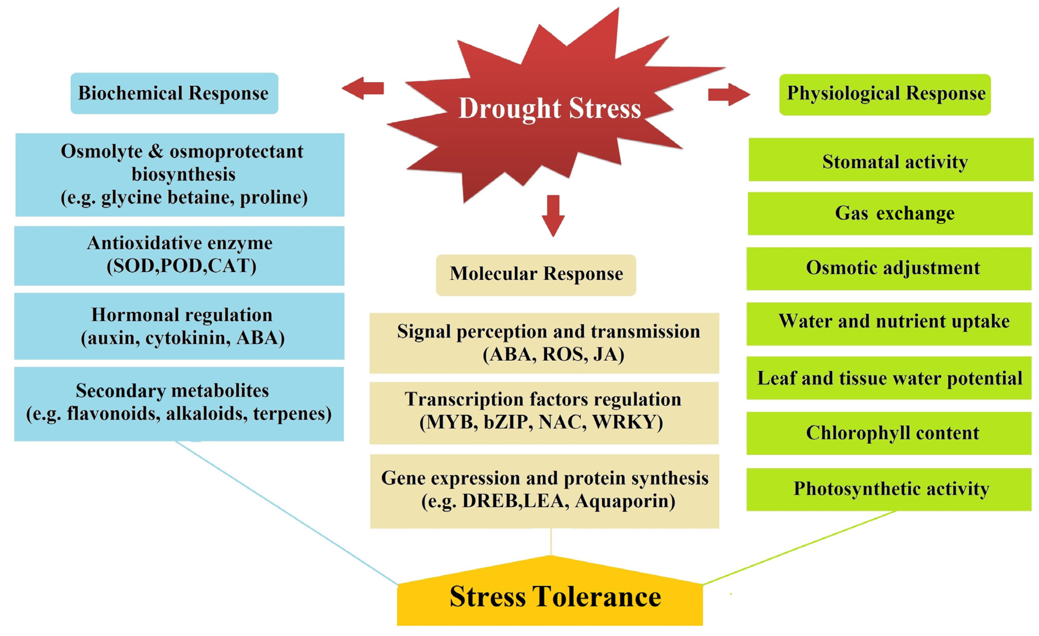 Physiologia 02 00015 g001