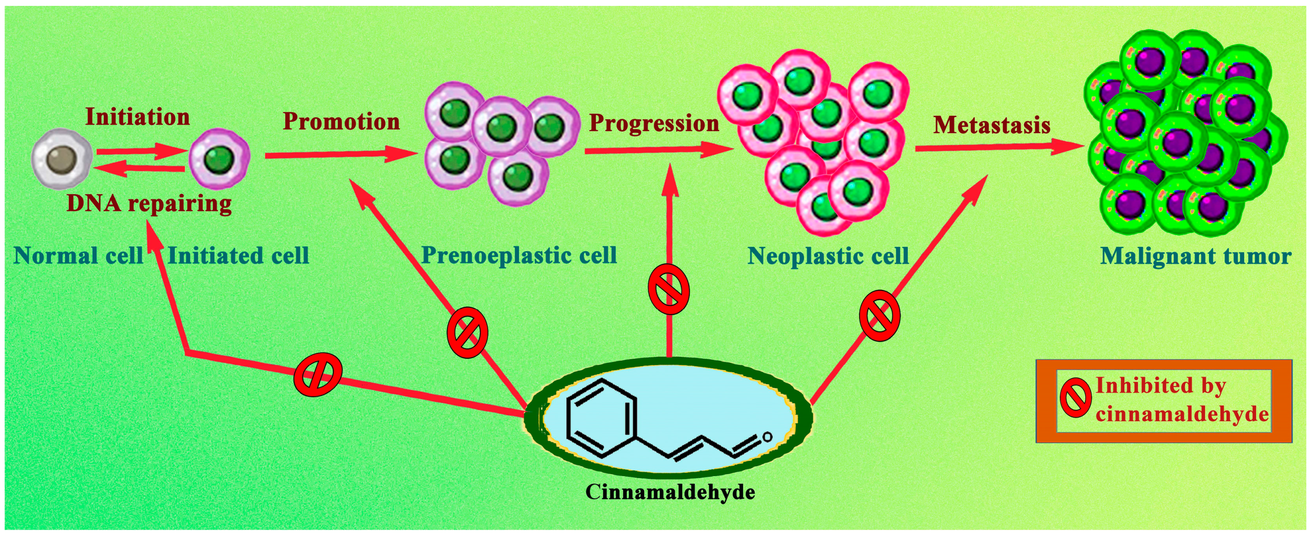 Physiologia 03 00013 g002