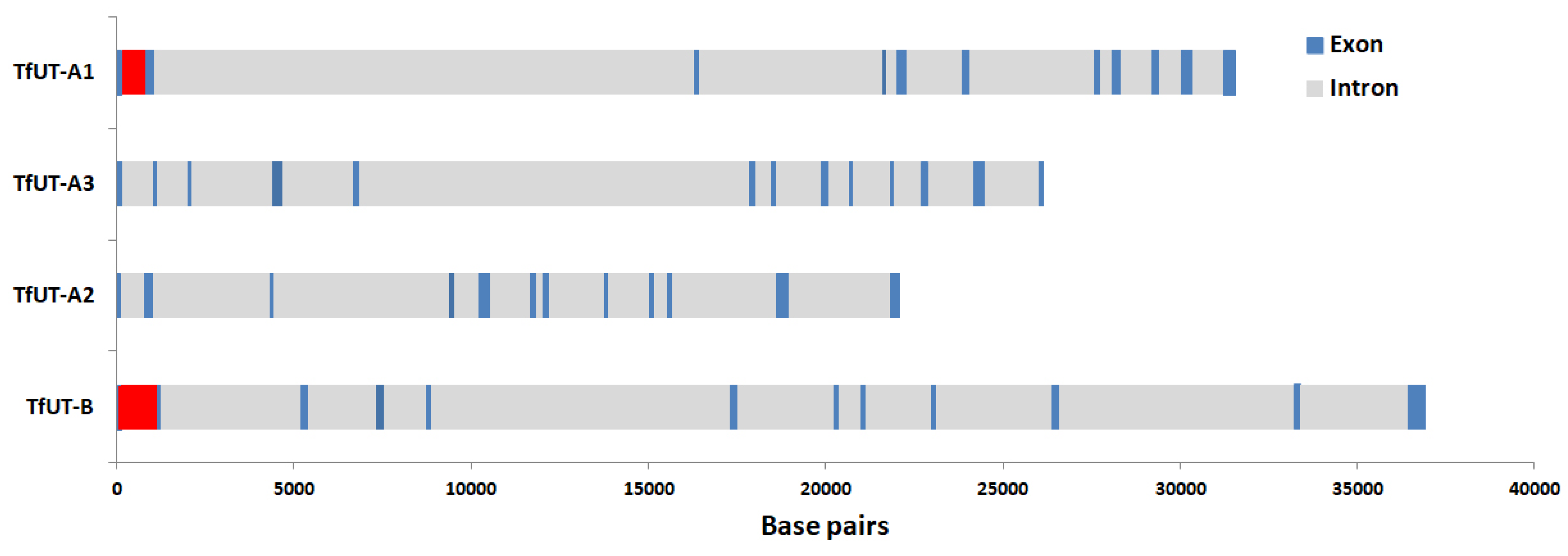 Physiologia 03 00020 g003