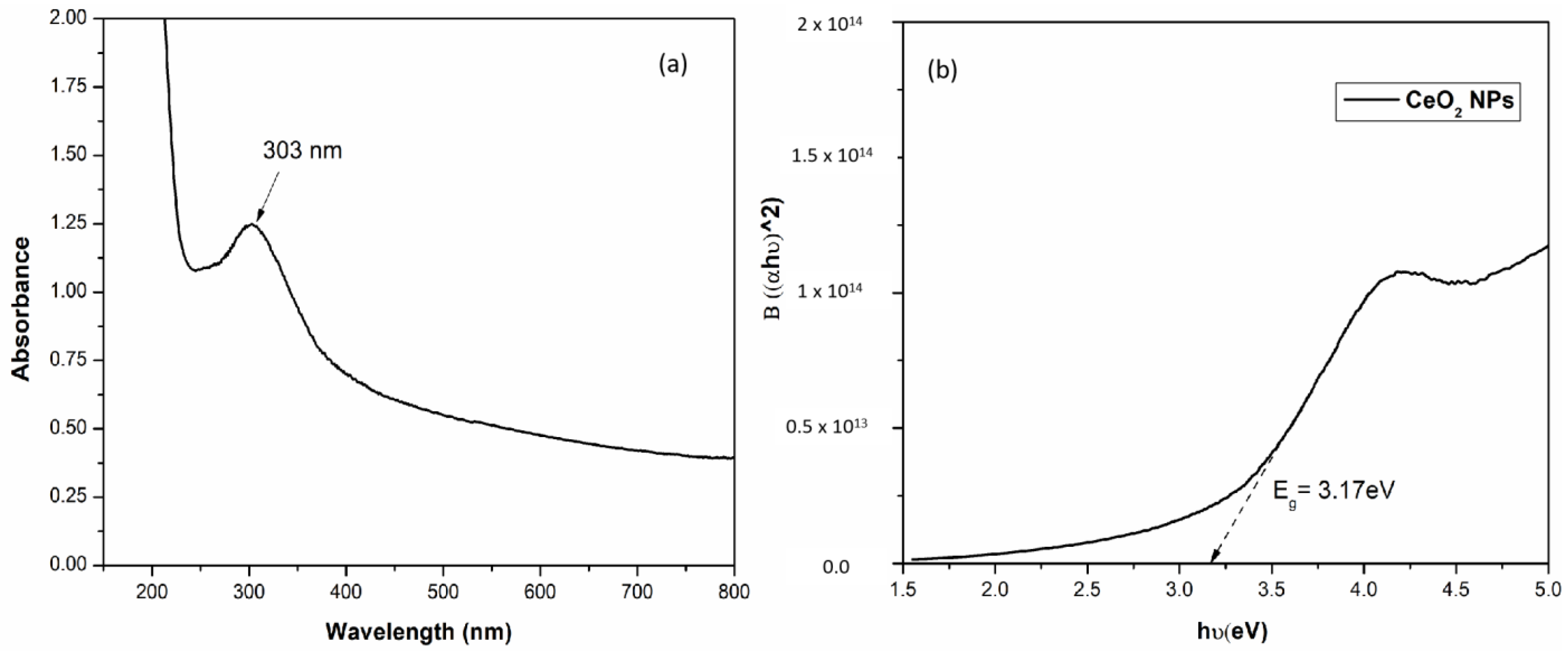 Physiologia 03 00023 g001