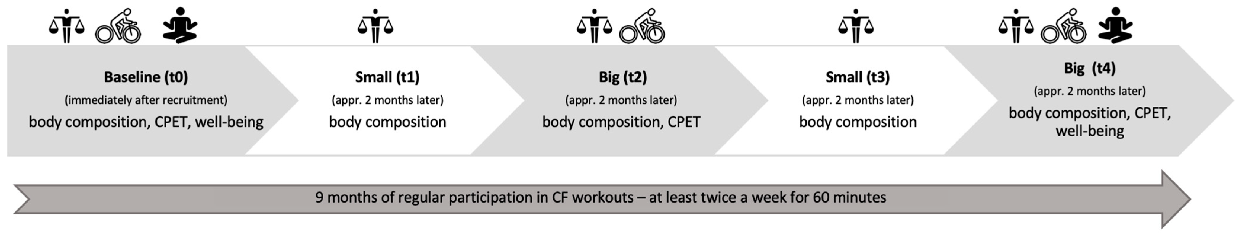 Physiologia 03 00036 g001