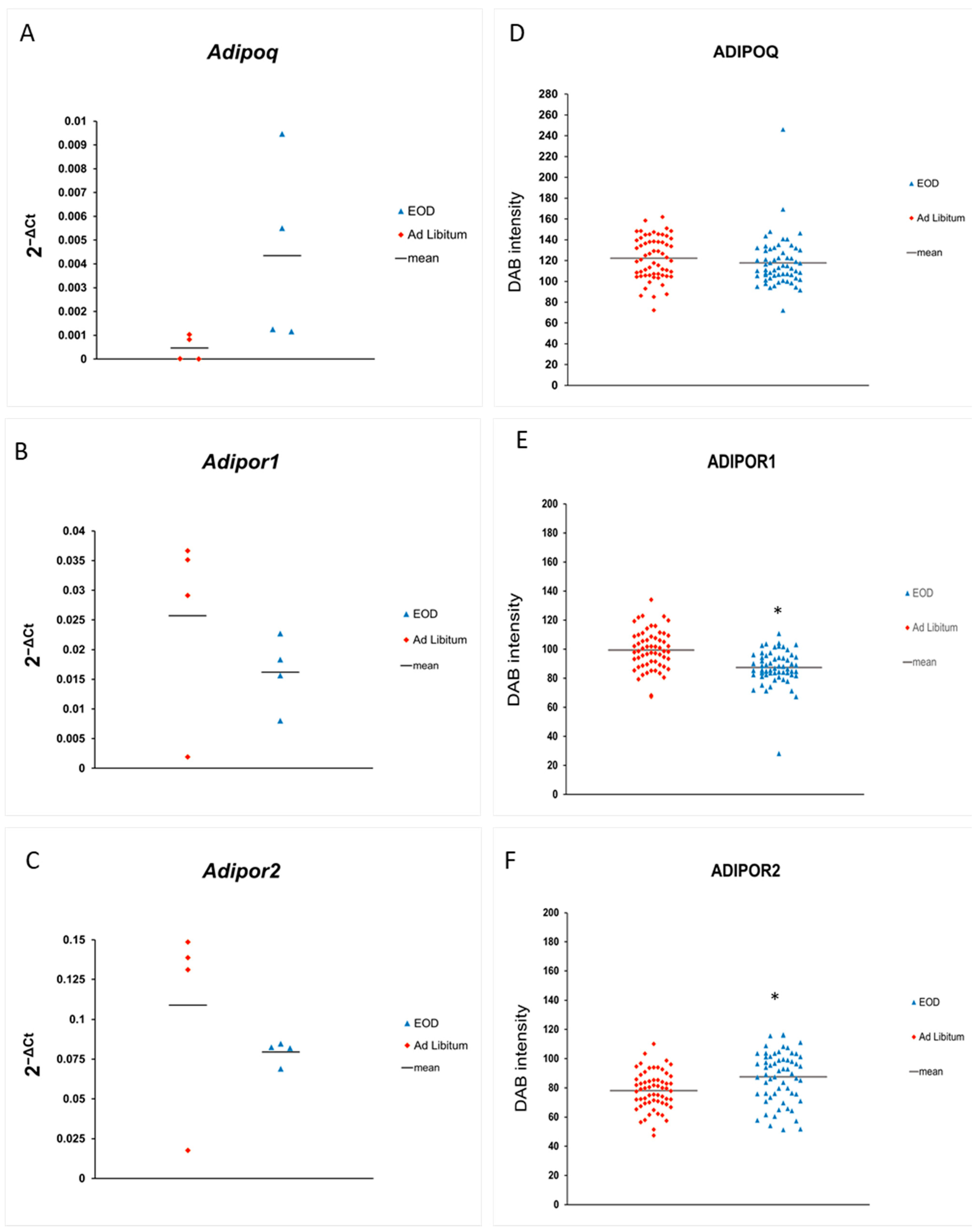Physiologia 04 00006 g002