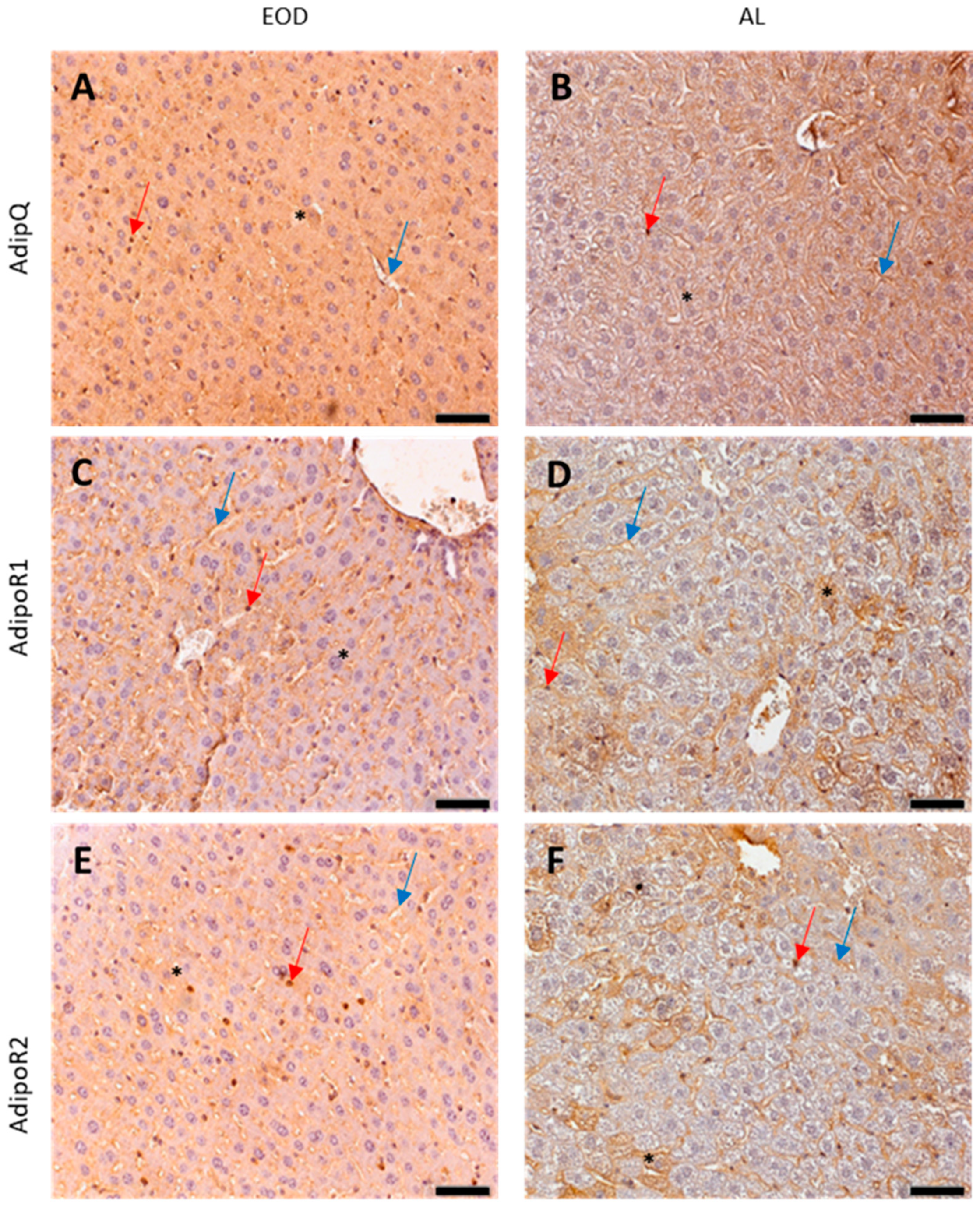 Physiologia 04 00006 g003