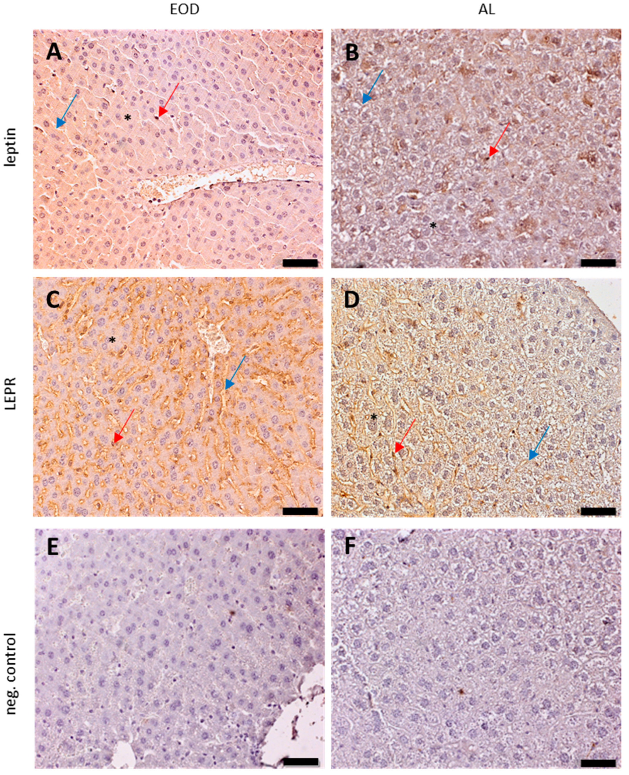 Physiologia 04 00006 g005