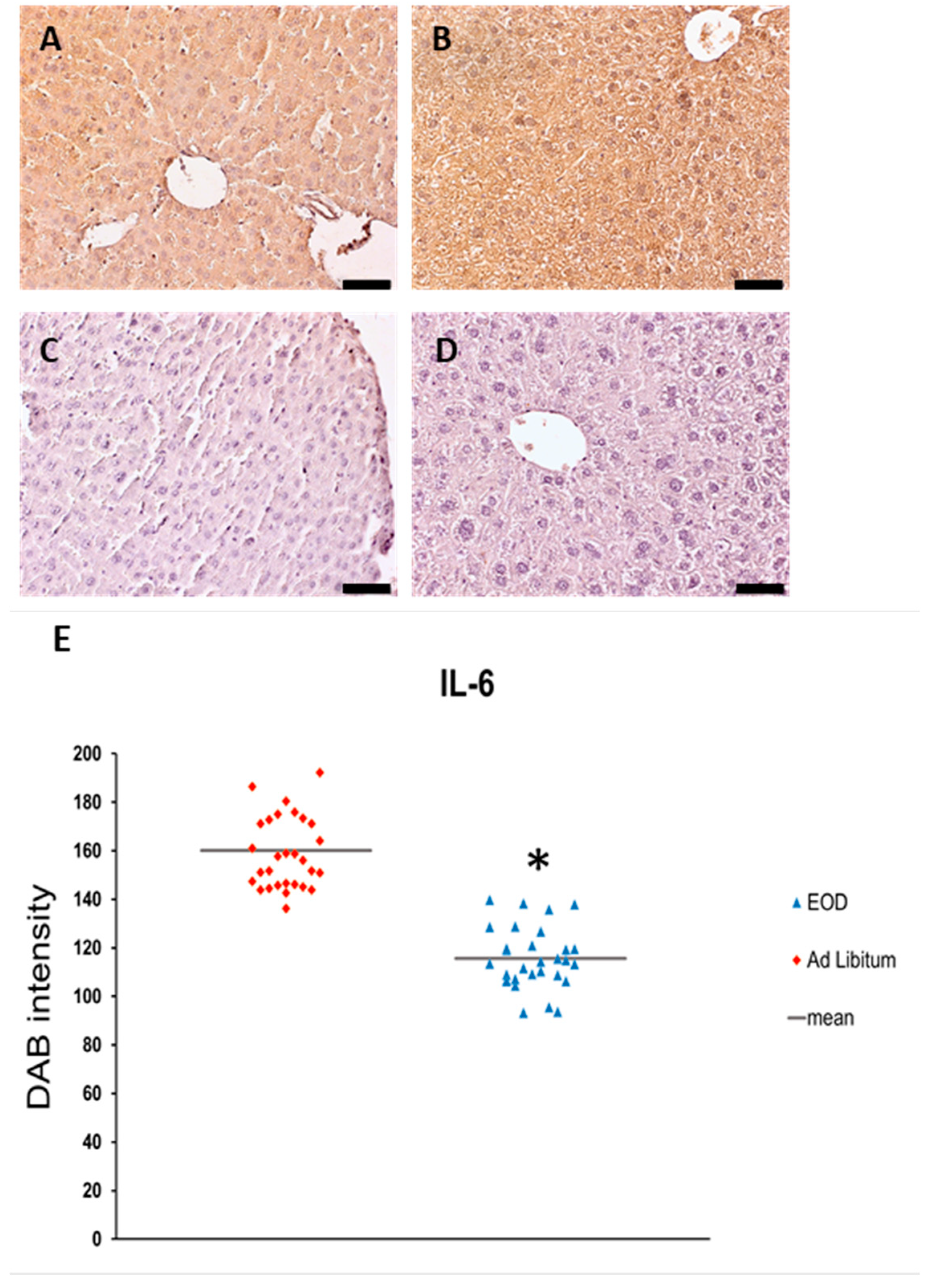 Physiologia 04 00006 g006