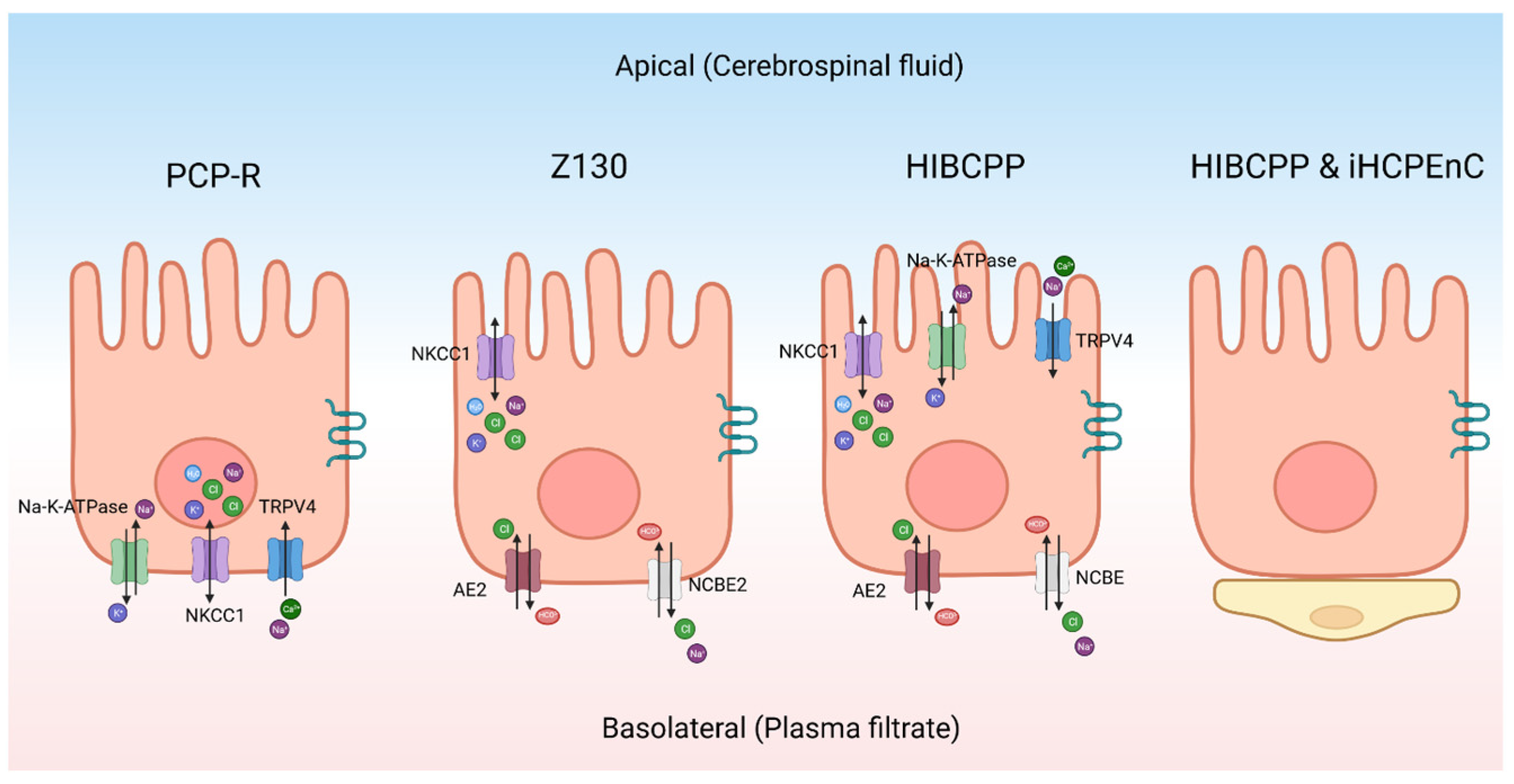 Physiologia 04 00010 g003