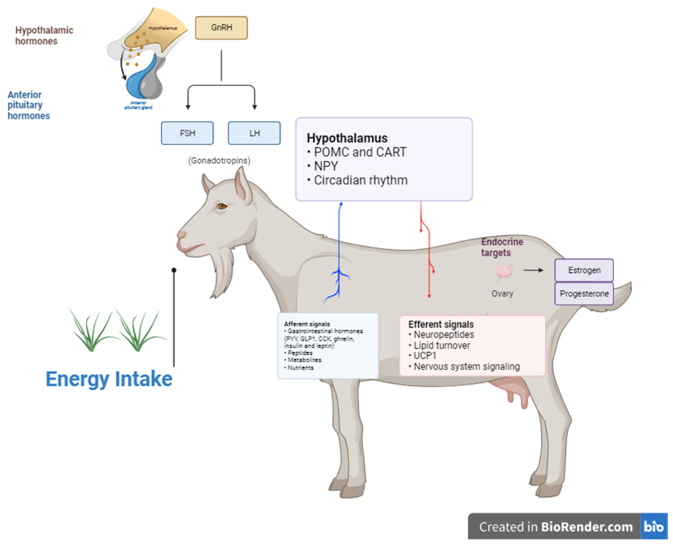 Physiologia 04 00012 g001