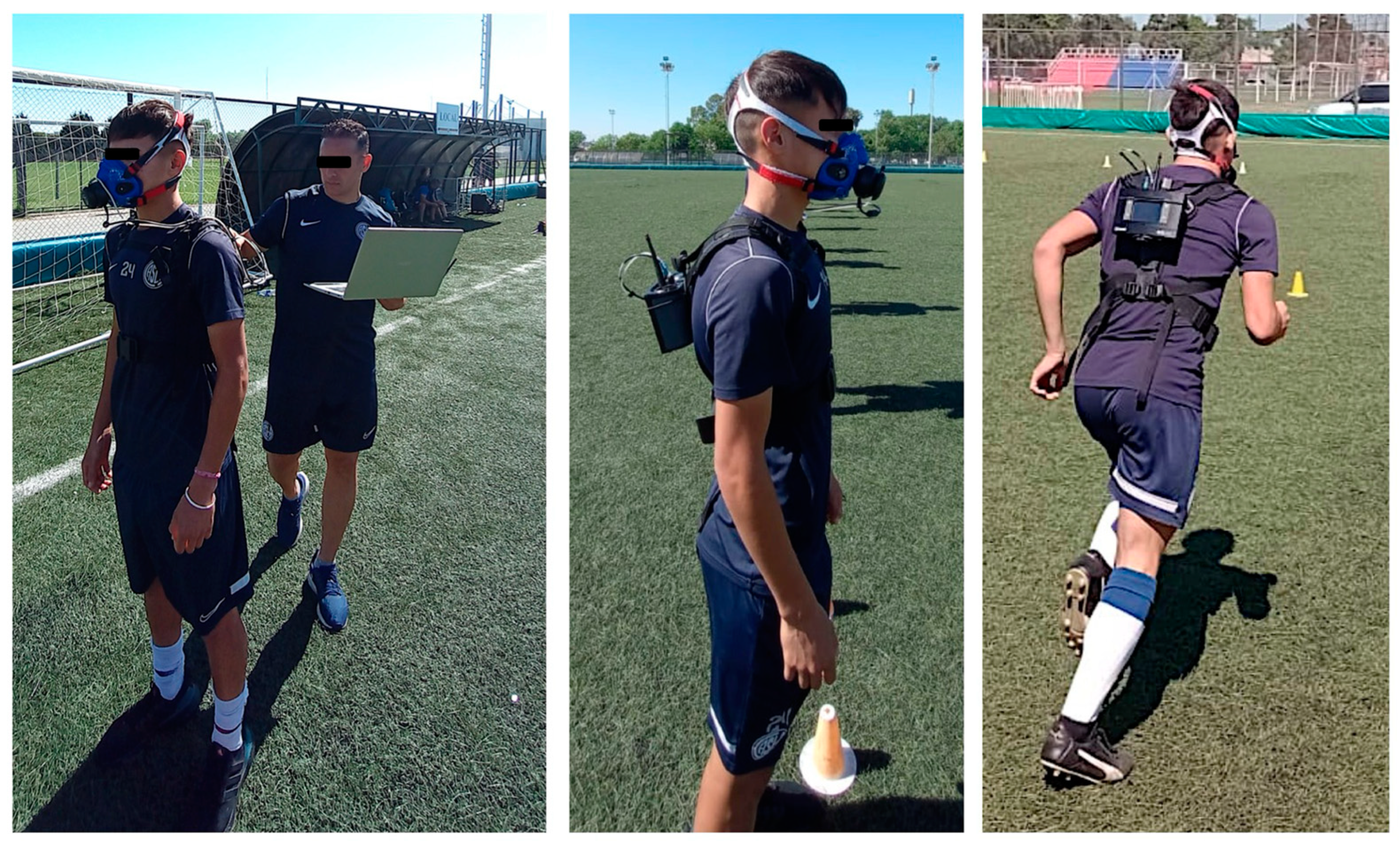 Physiologia 05 00014 g001