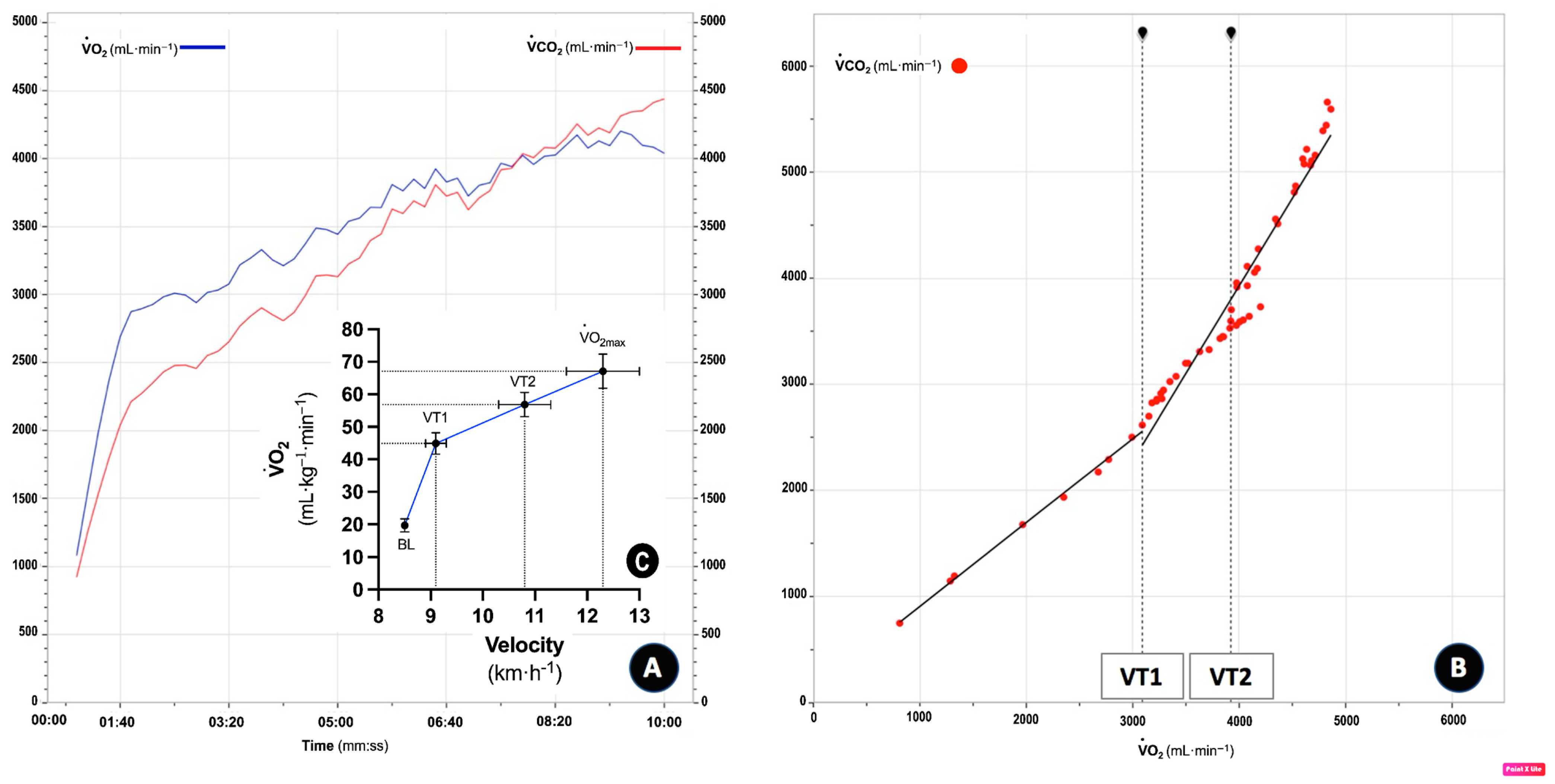 Physiologia 05 00014 g002