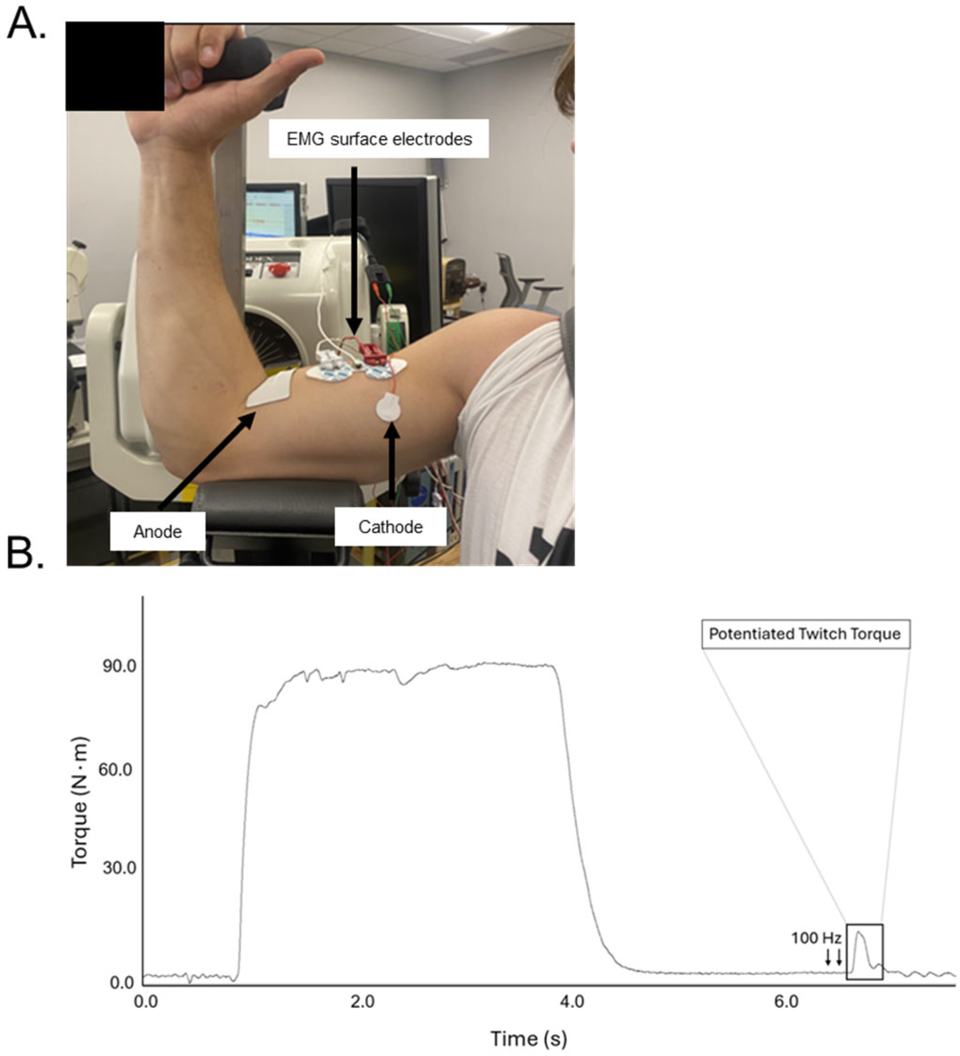 Physiologia 05 00015 g005