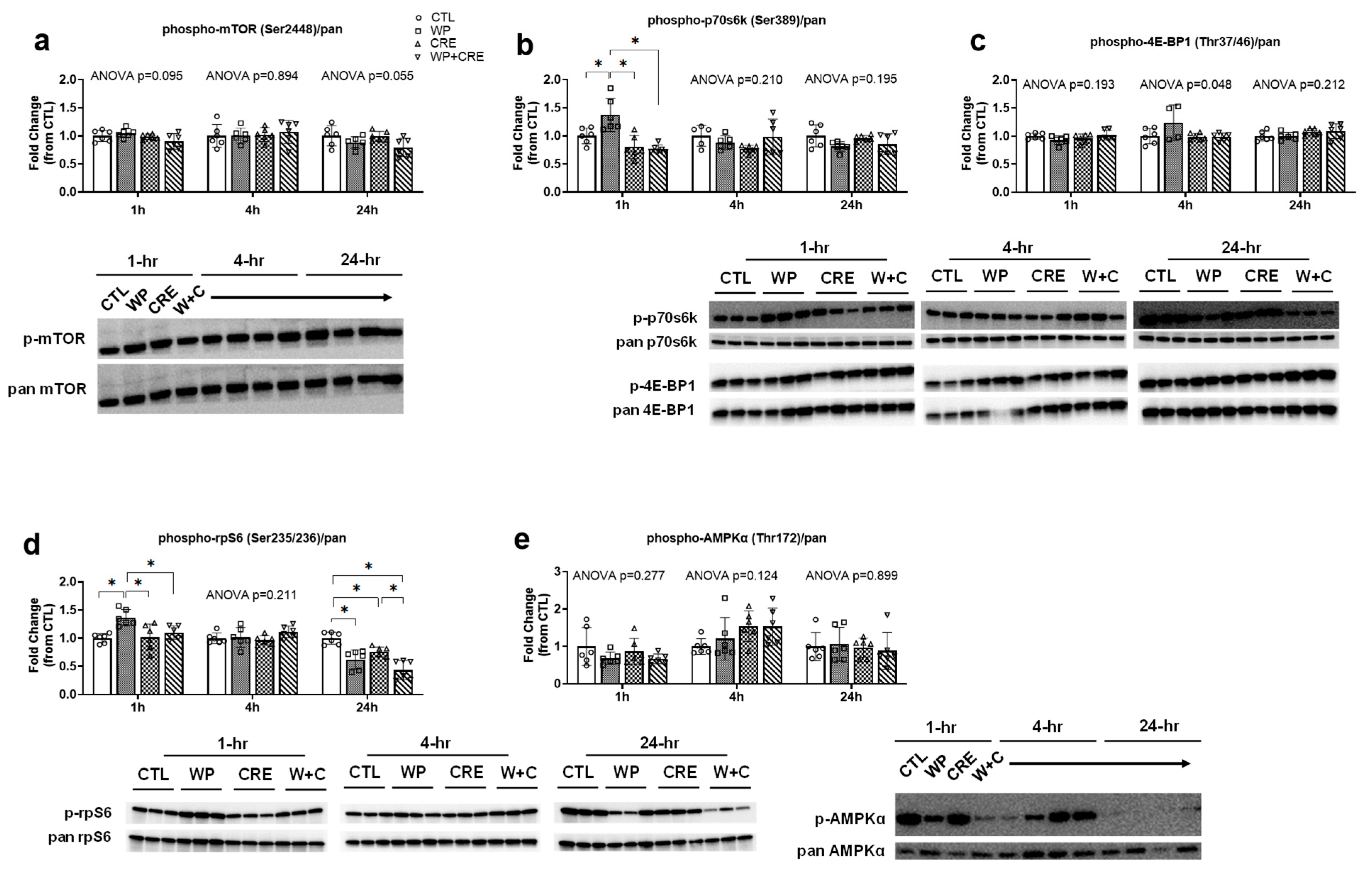 Physiologia 05 00017 g002