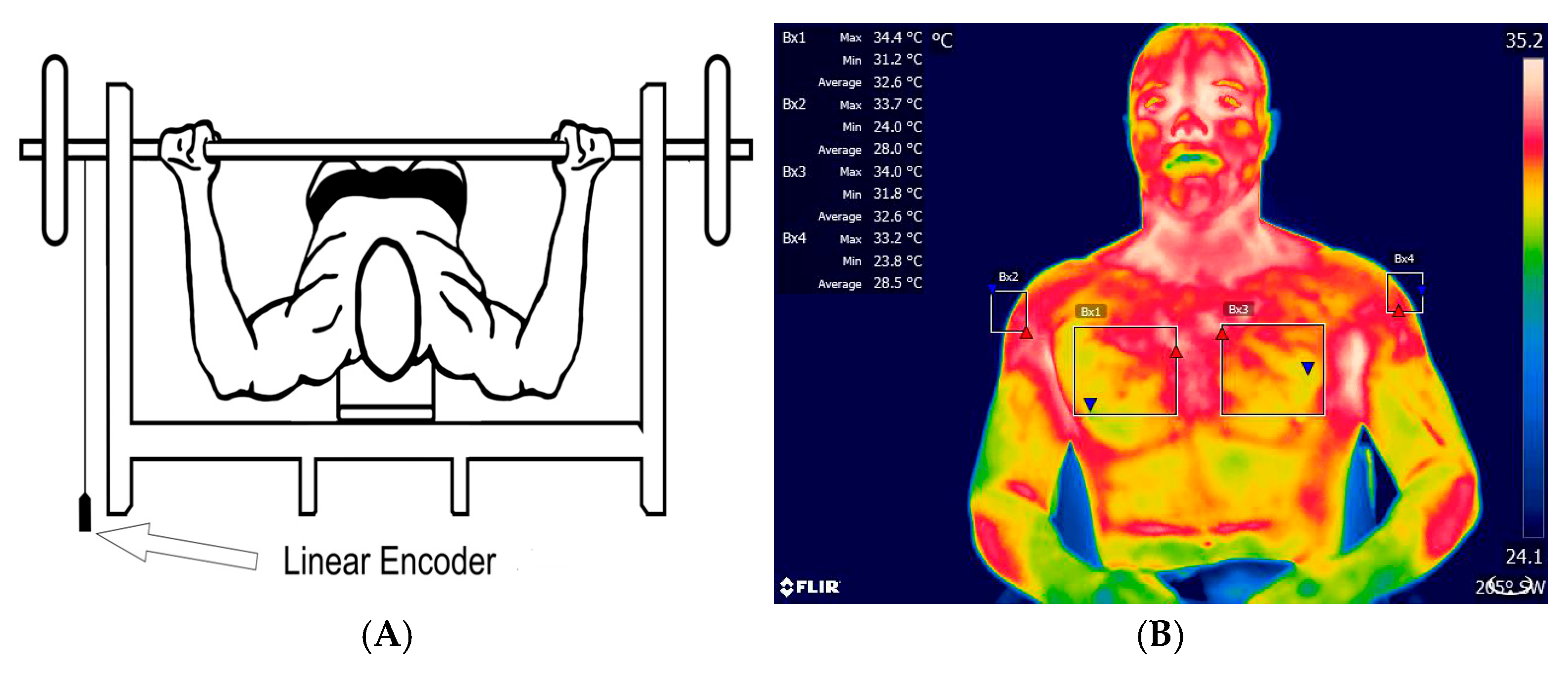 Physiologia 05 00023 g002