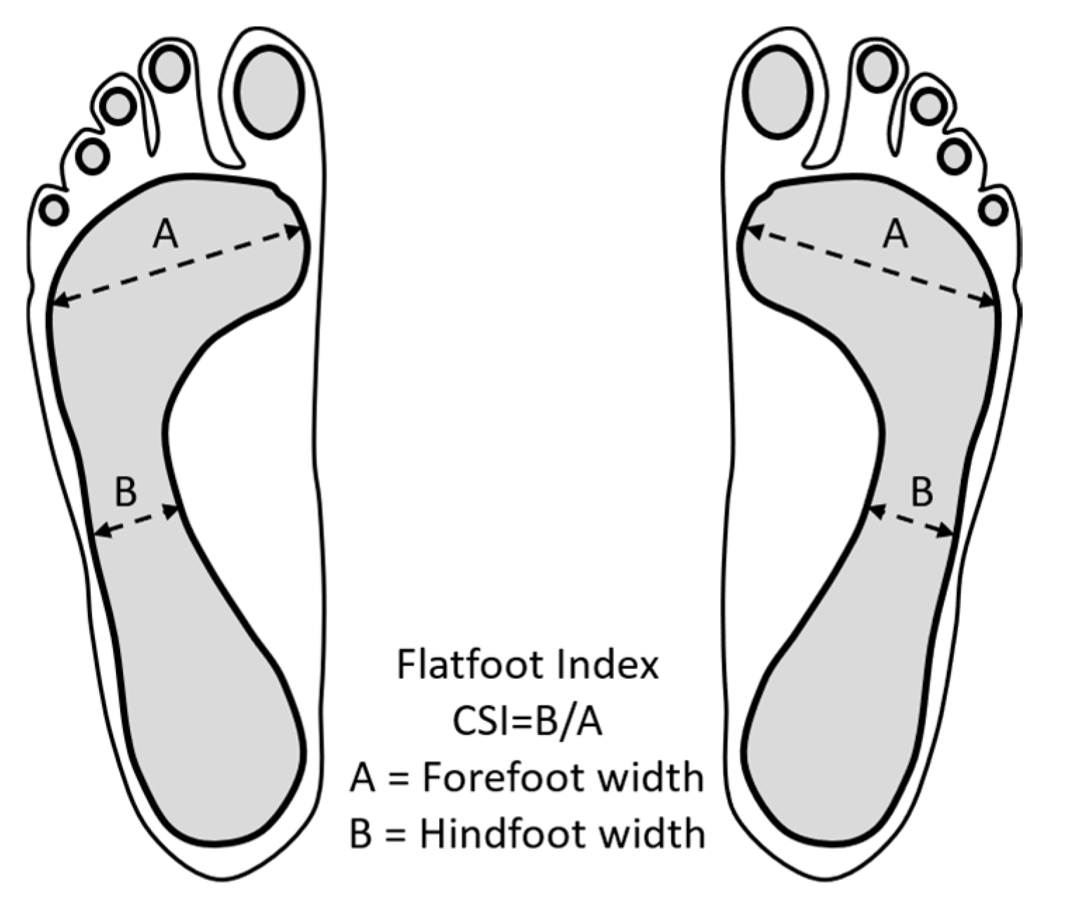 Physiologia 05 00029 g003 Physiologia 05 00029 g003