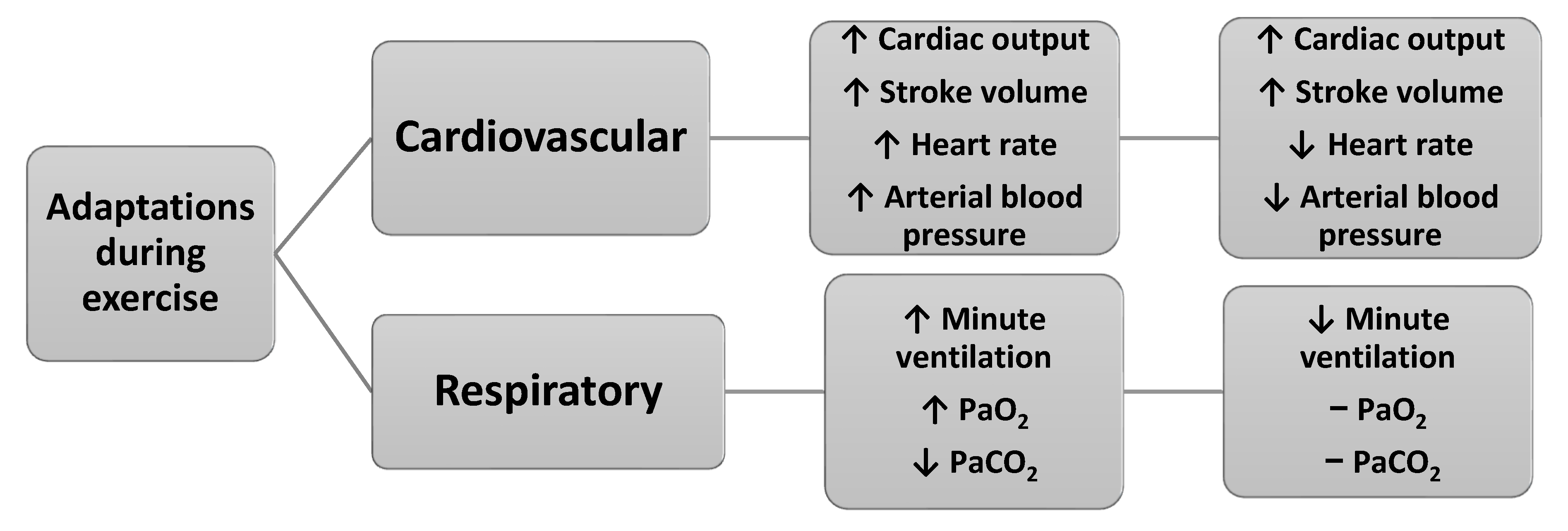 Physiologia 05 00030 g003 Physiologia 05 00030 g003