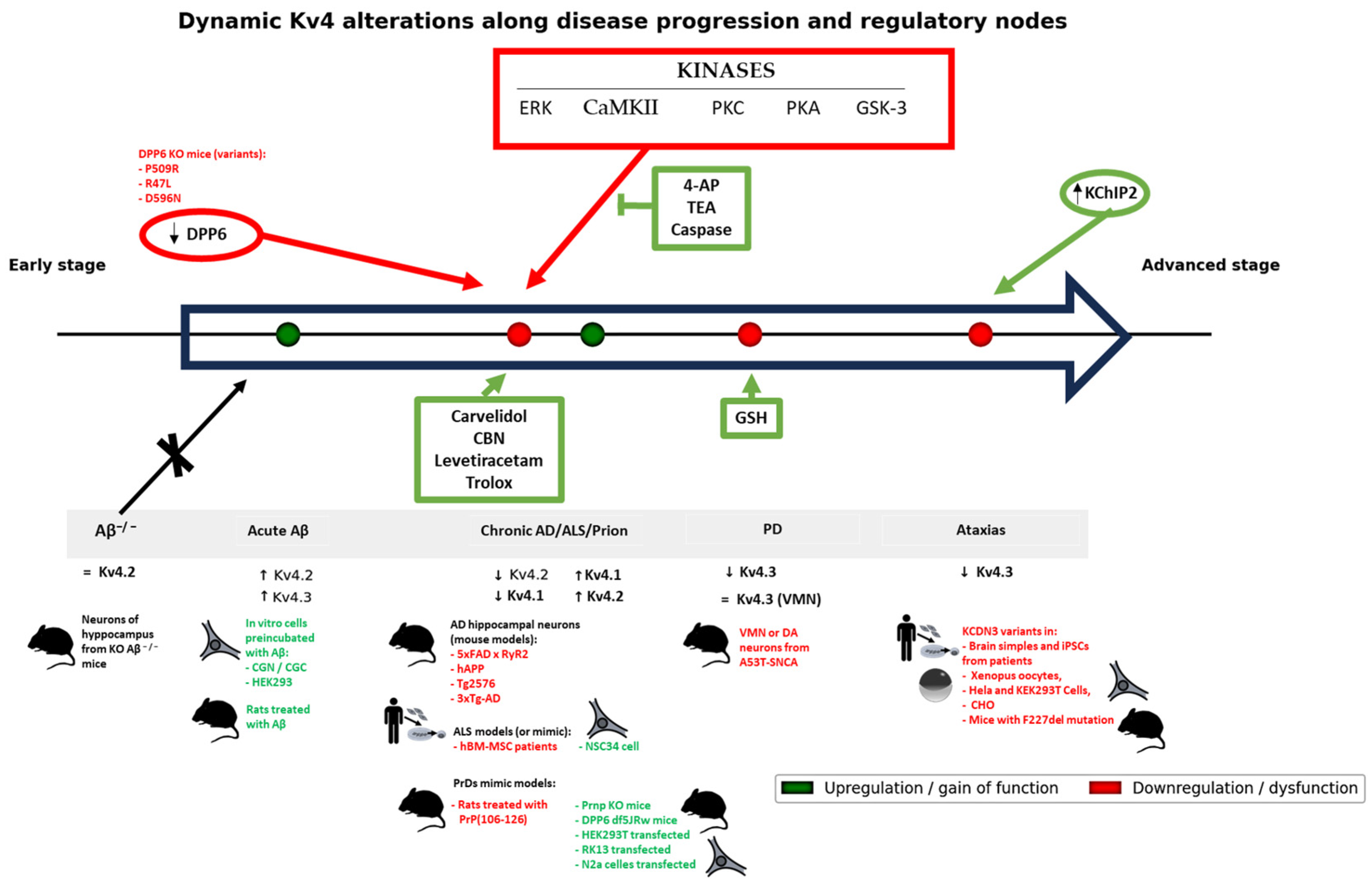 Physiologia 05 00031 g003 Physiologia 05 00031 g003