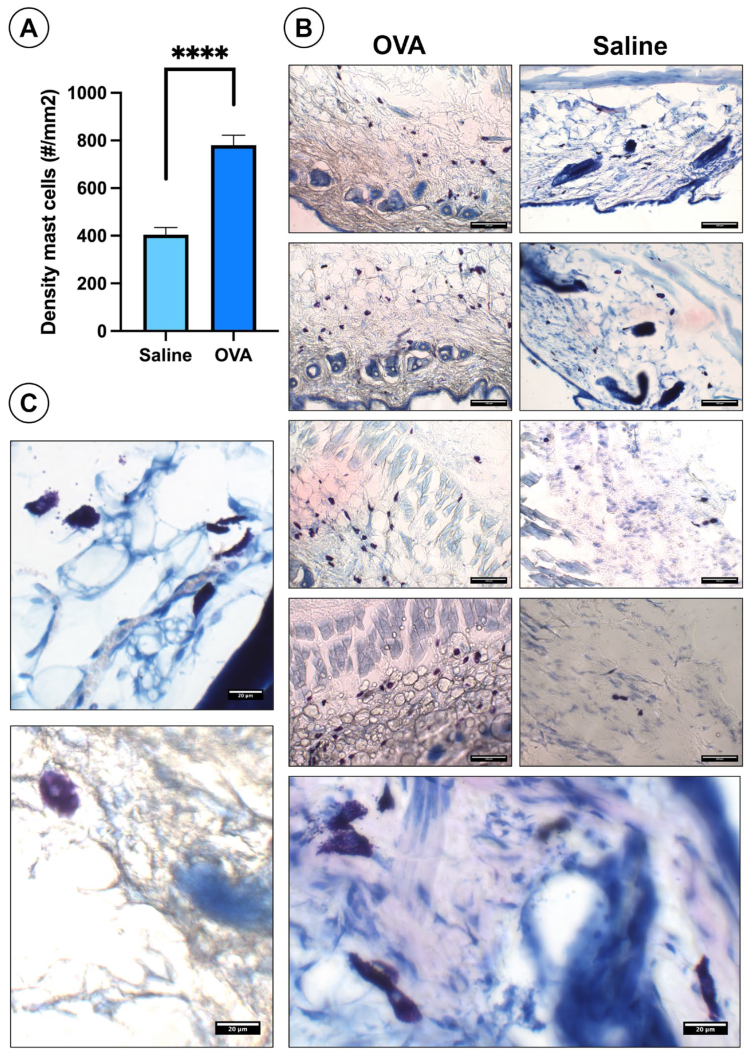 Physiologia 05 00032 g004