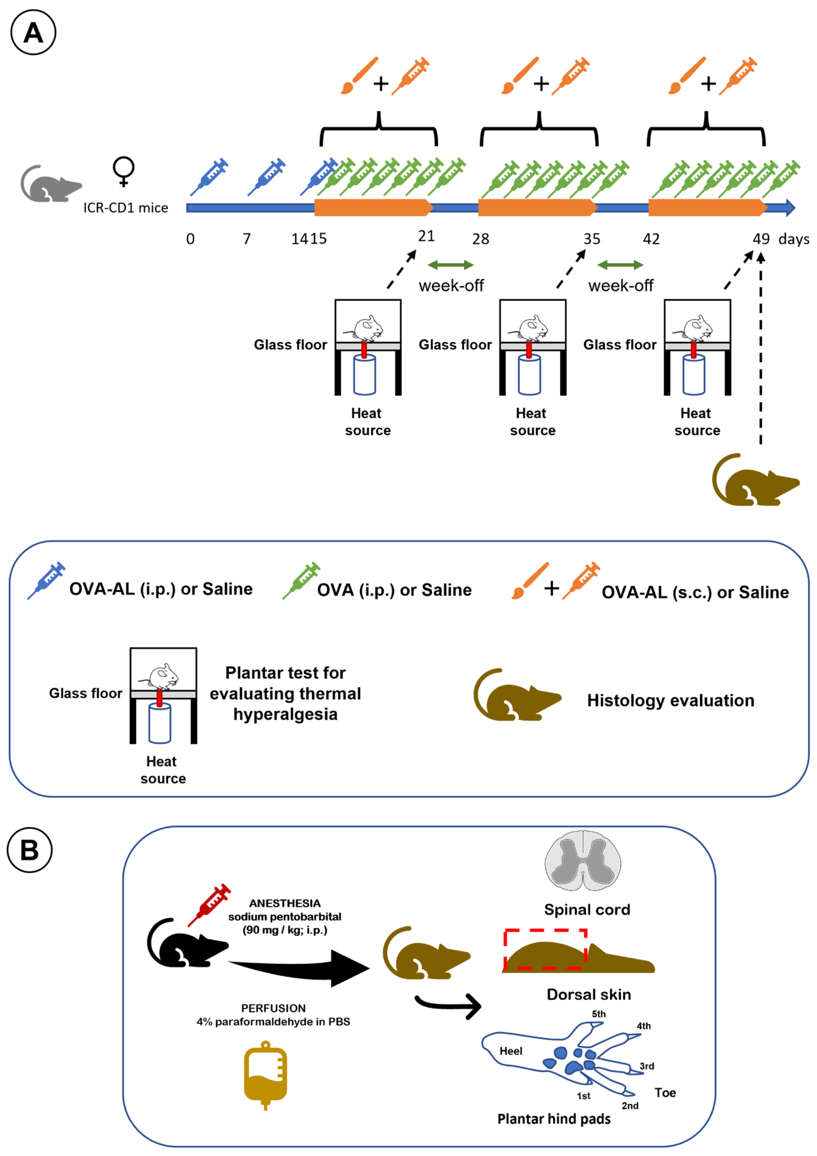 Physiologia 05 00032 g007