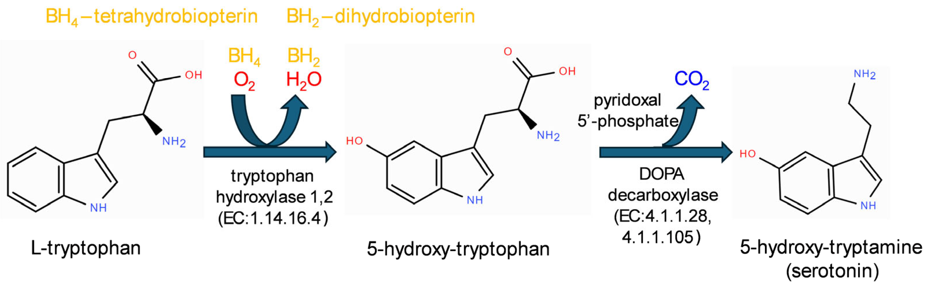 Physiologia 05 00037 g001 Physiologia 05 00037 g001