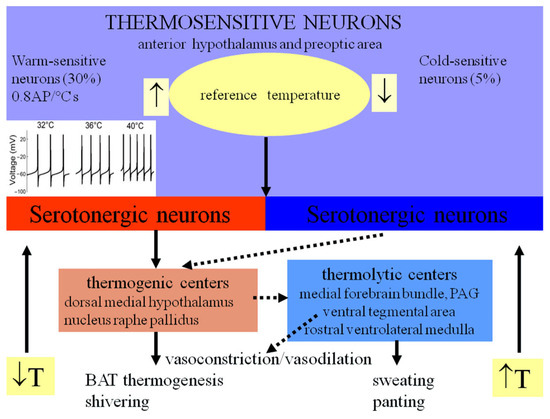 Physiologia 05 00037 g004