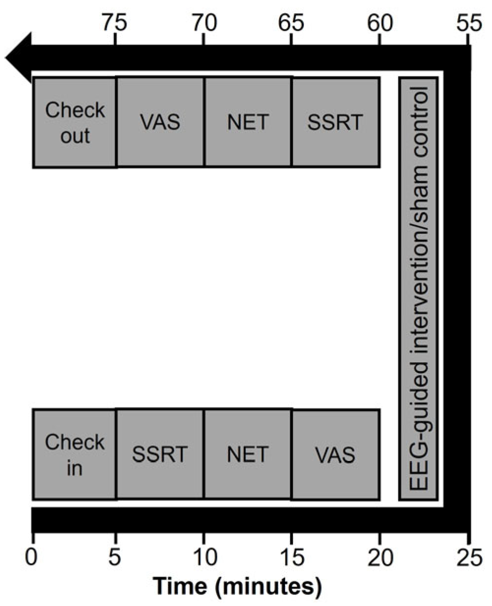 Physiologia 05 00044 g003 Physiologia 05 00044 g003