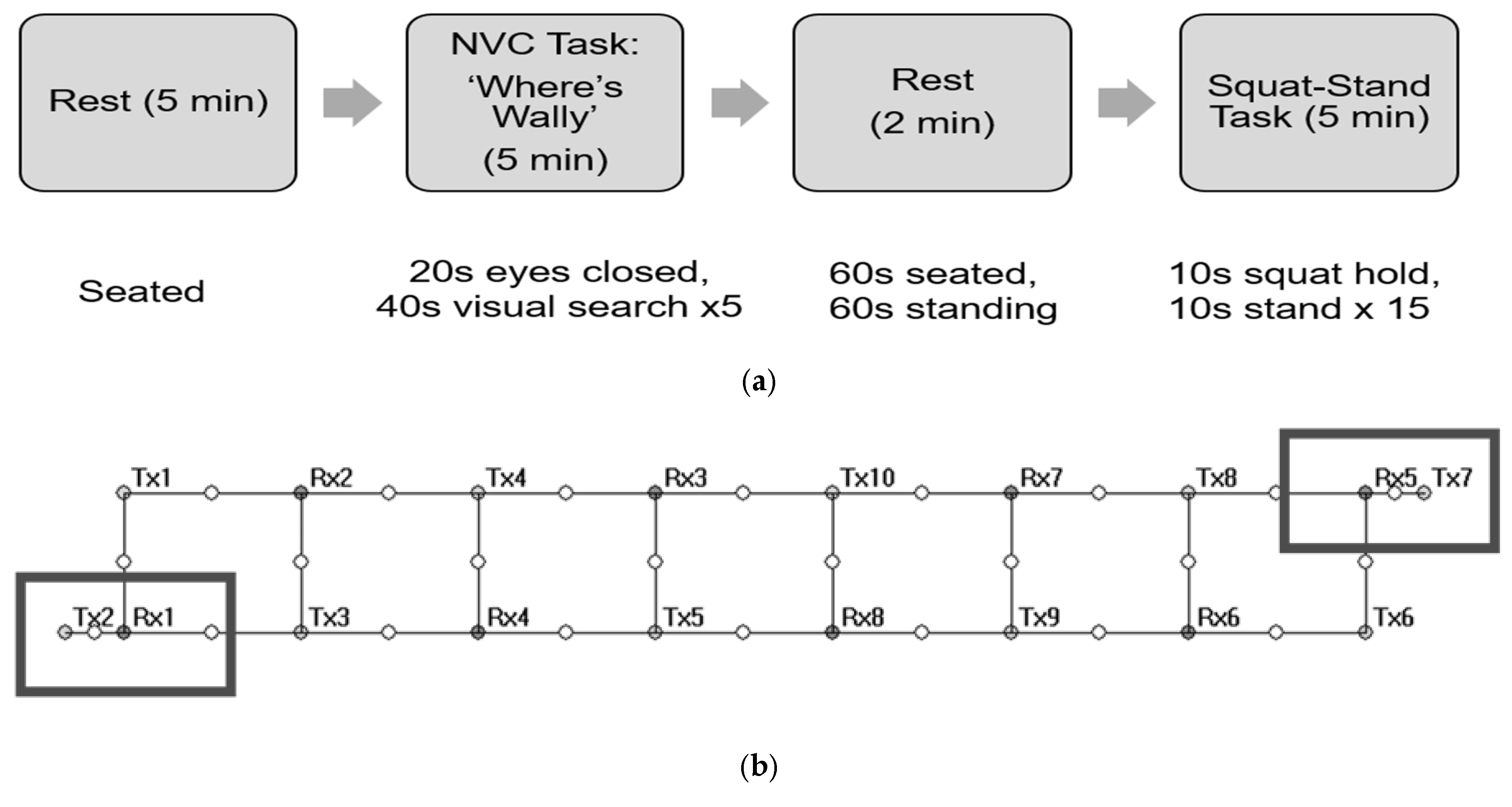 Physiologia 05 00046 g001a