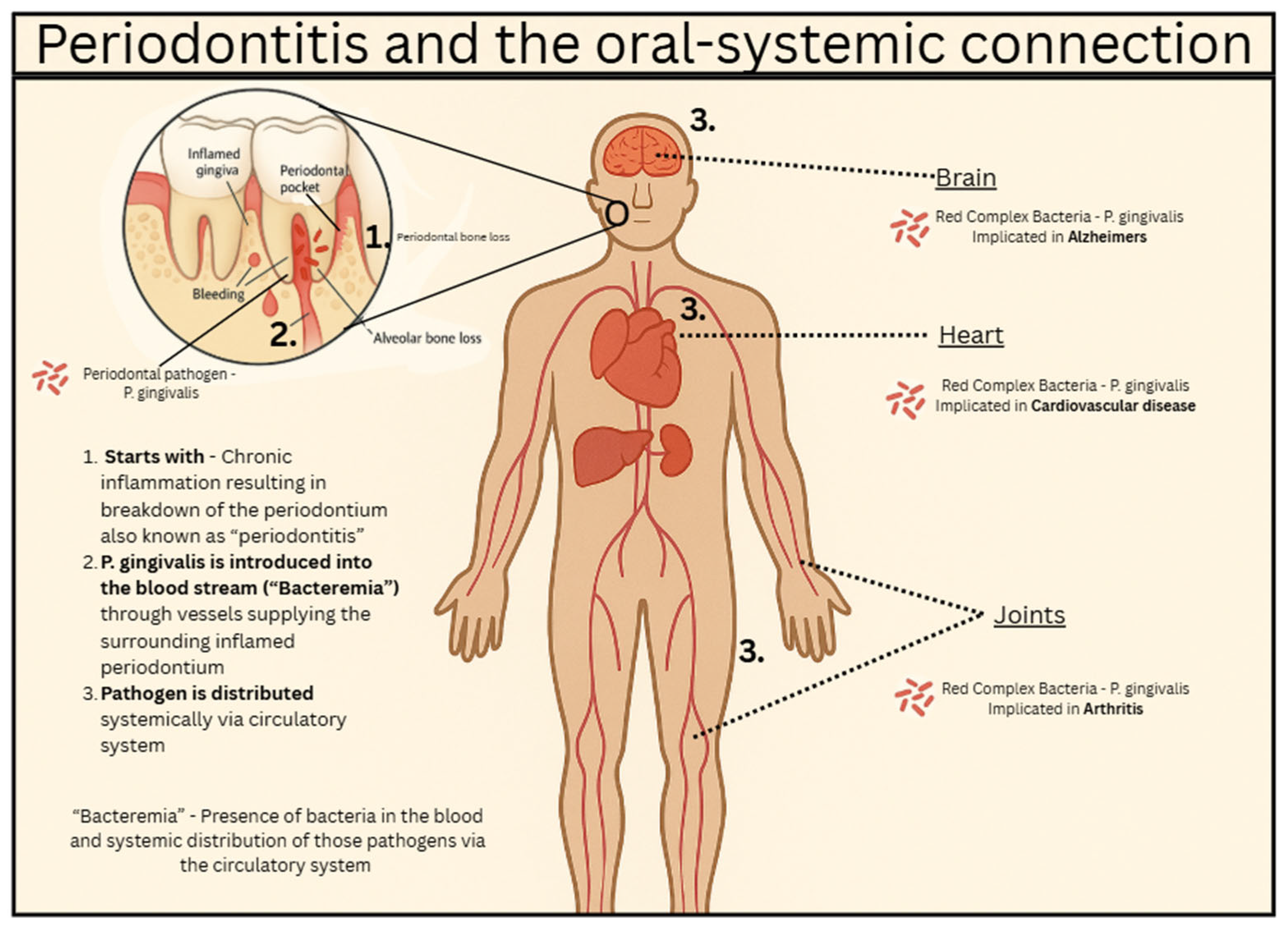 Physiologia 05 00049 g001 Physiologia 05 00049 g001