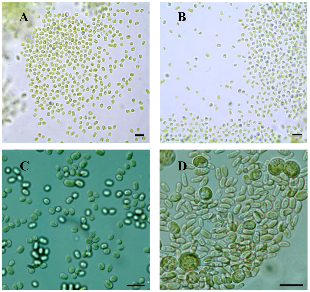 Plants 01 00039 g001 1024