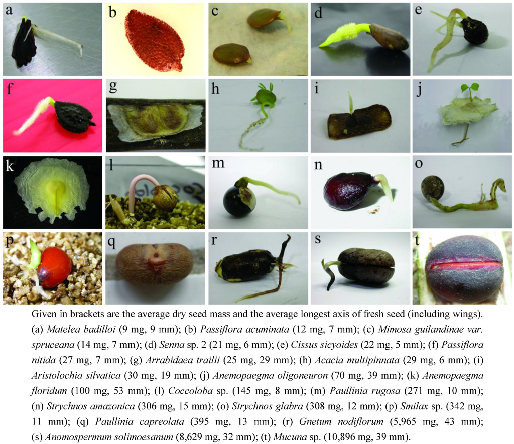 Plants 02 00001 g003 1024