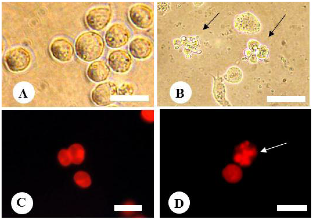 Plants 02 00057 g006 1024