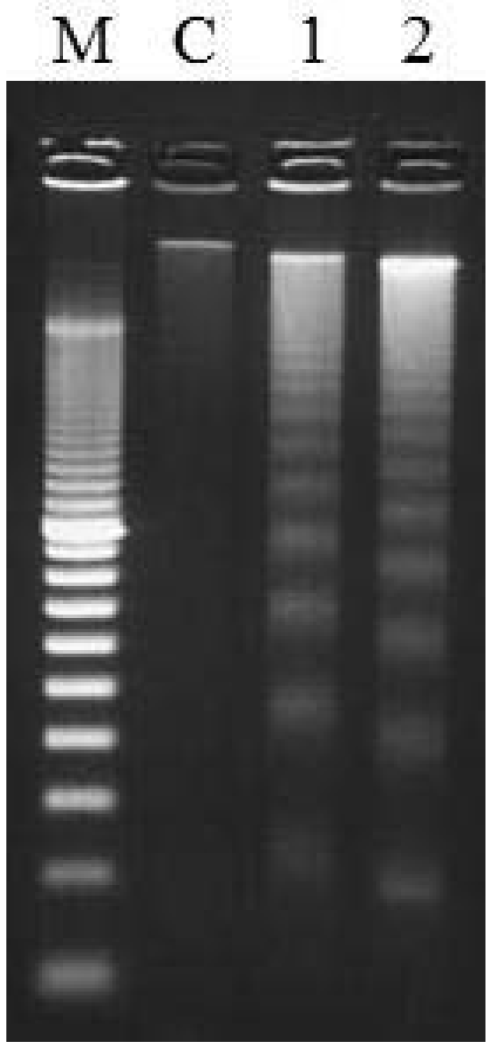 Plants 02 00057 g007 1024