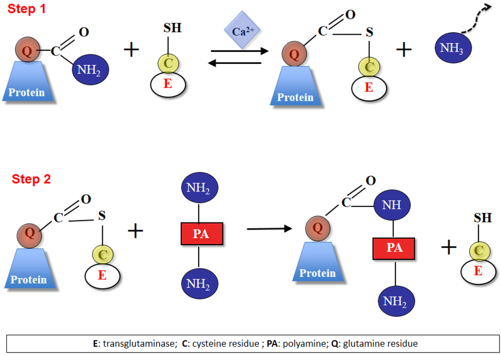 Plants 02 00087 g002 1024
