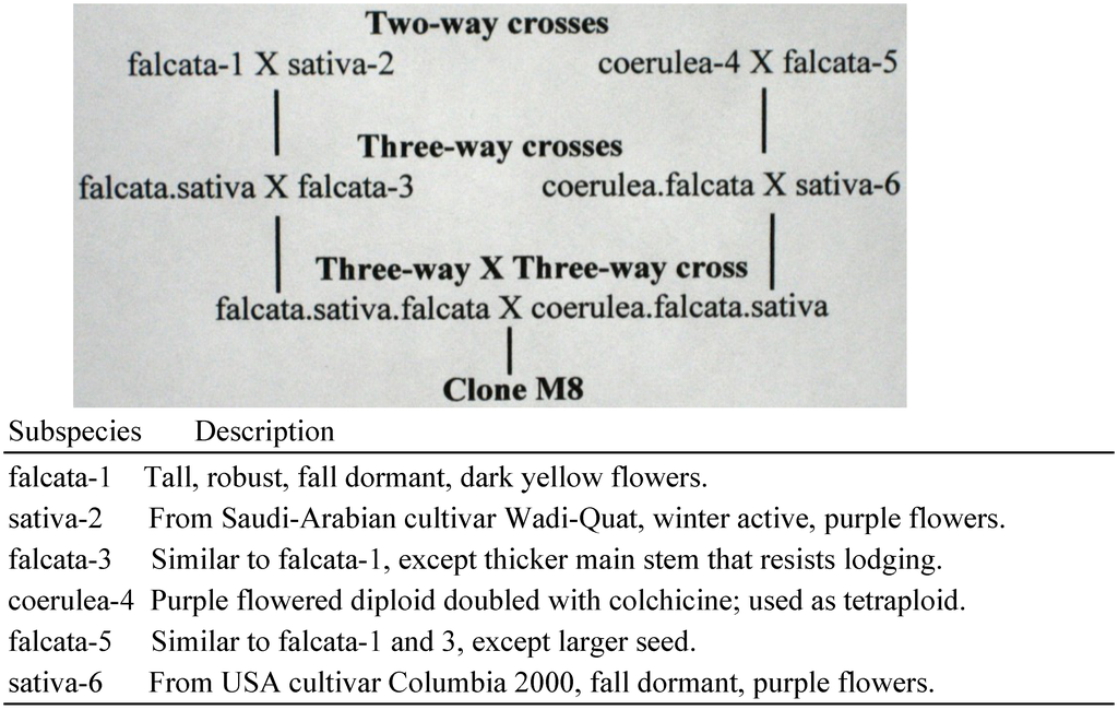 Plants 02 00343 g001 1024