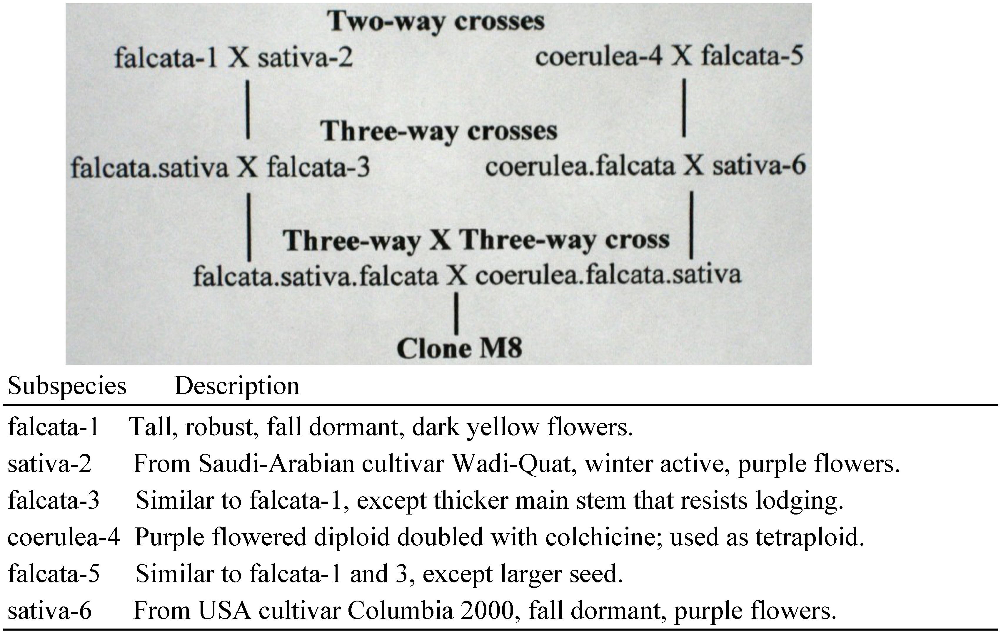 Plants 02 00343 g001