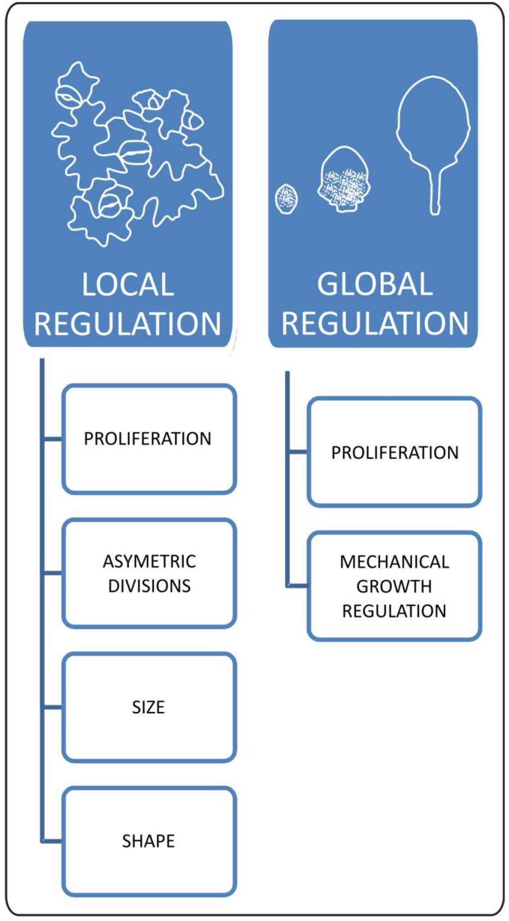 Plants 02 00396 g002 1024