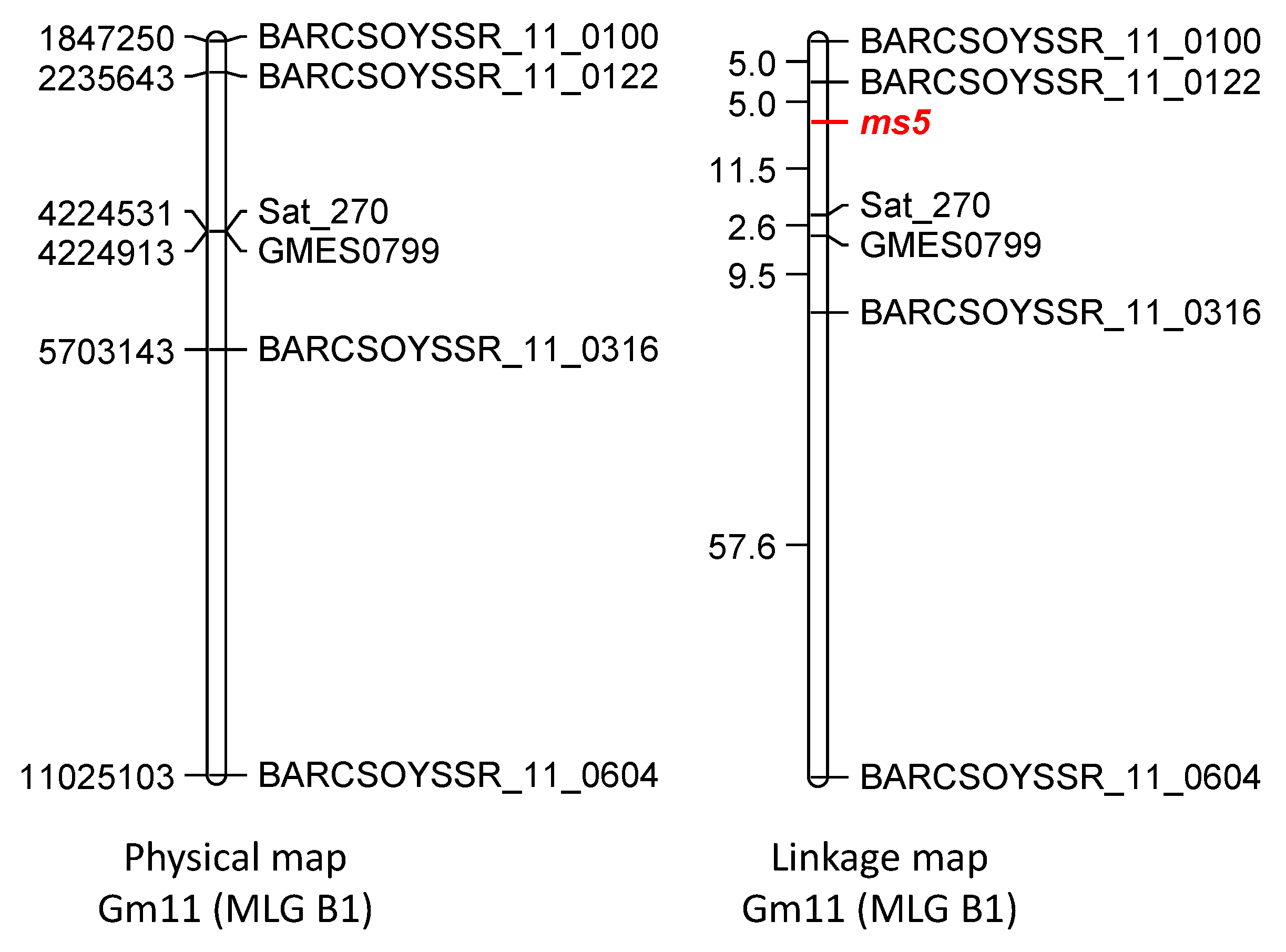Plants 02 00441 g002