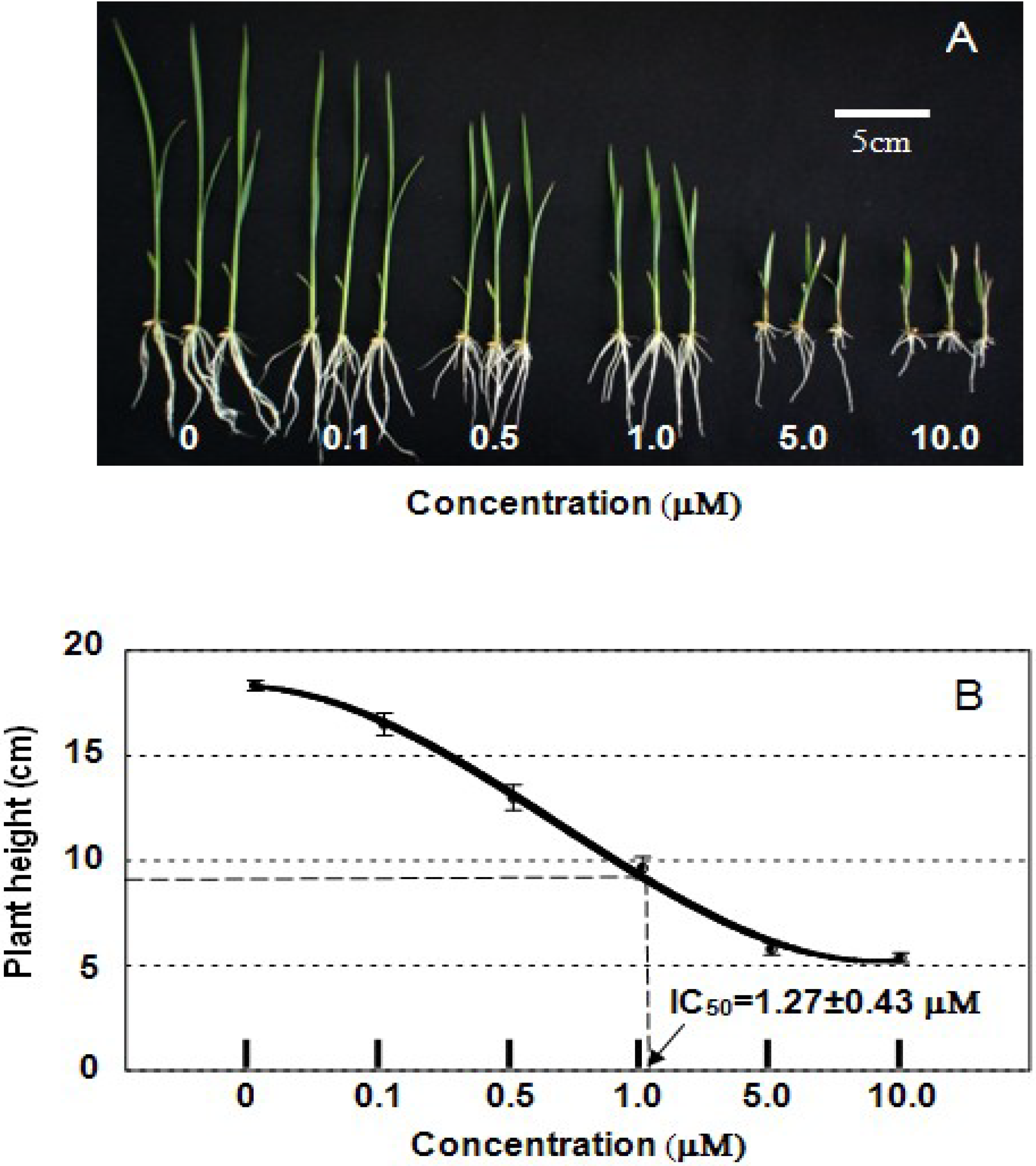 Plants 02 00521 g002