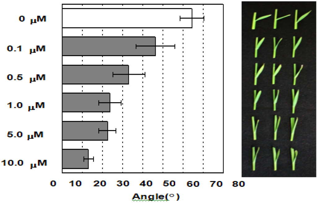 Plants 02 00521 g004 1024