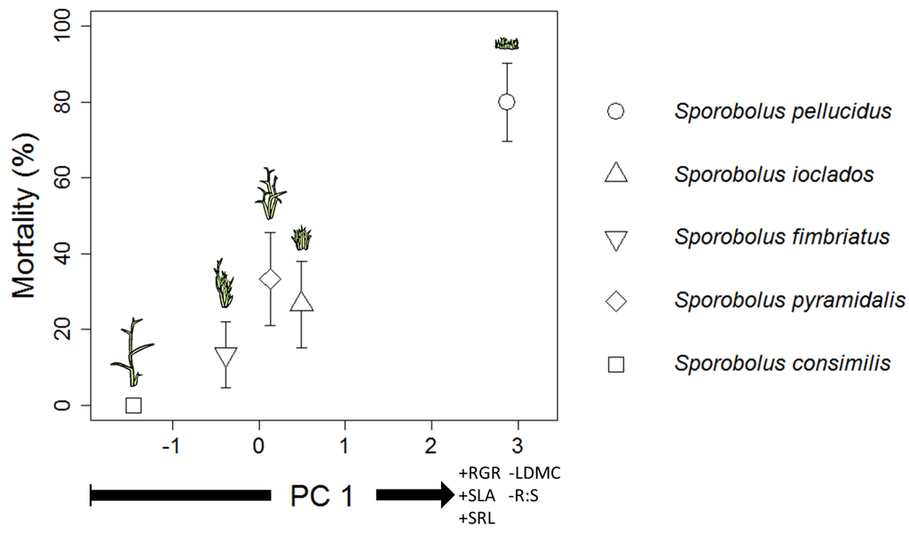 Plants 02 00712 g004 1024