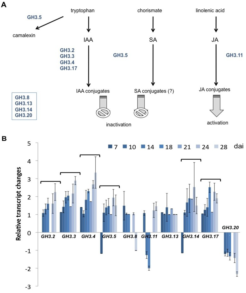 Plants 02 00726 g007 1024