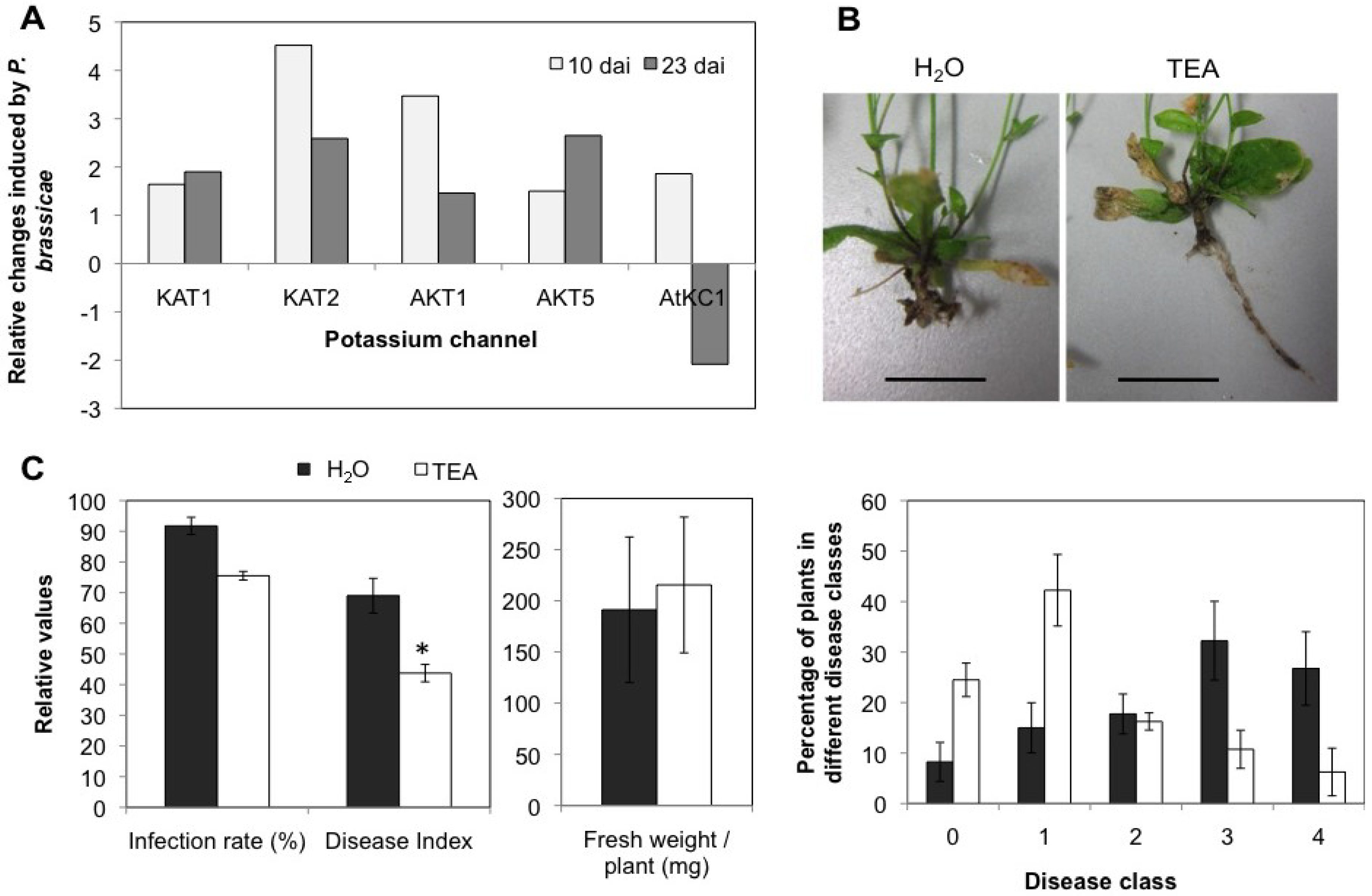Plants 02 00726 g011