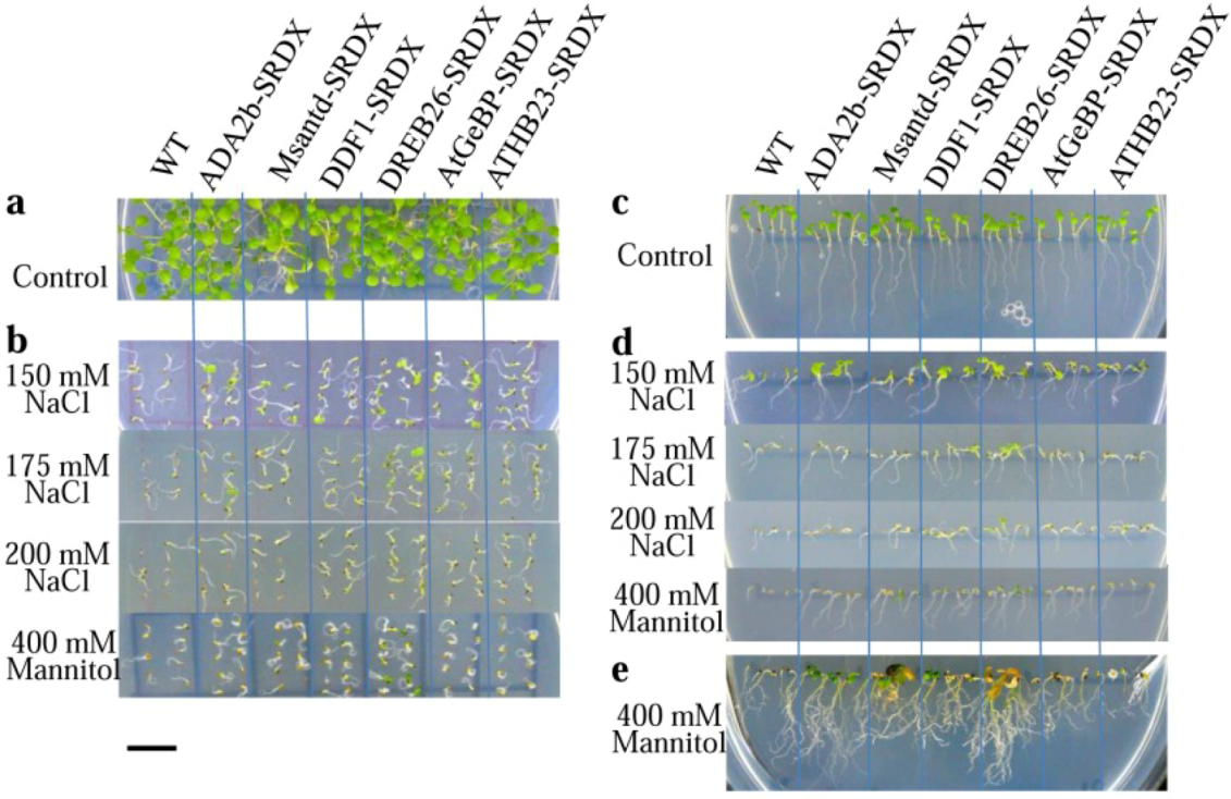 Plants 02 00769 g002