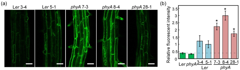 Plants 03 00177 g002 1024